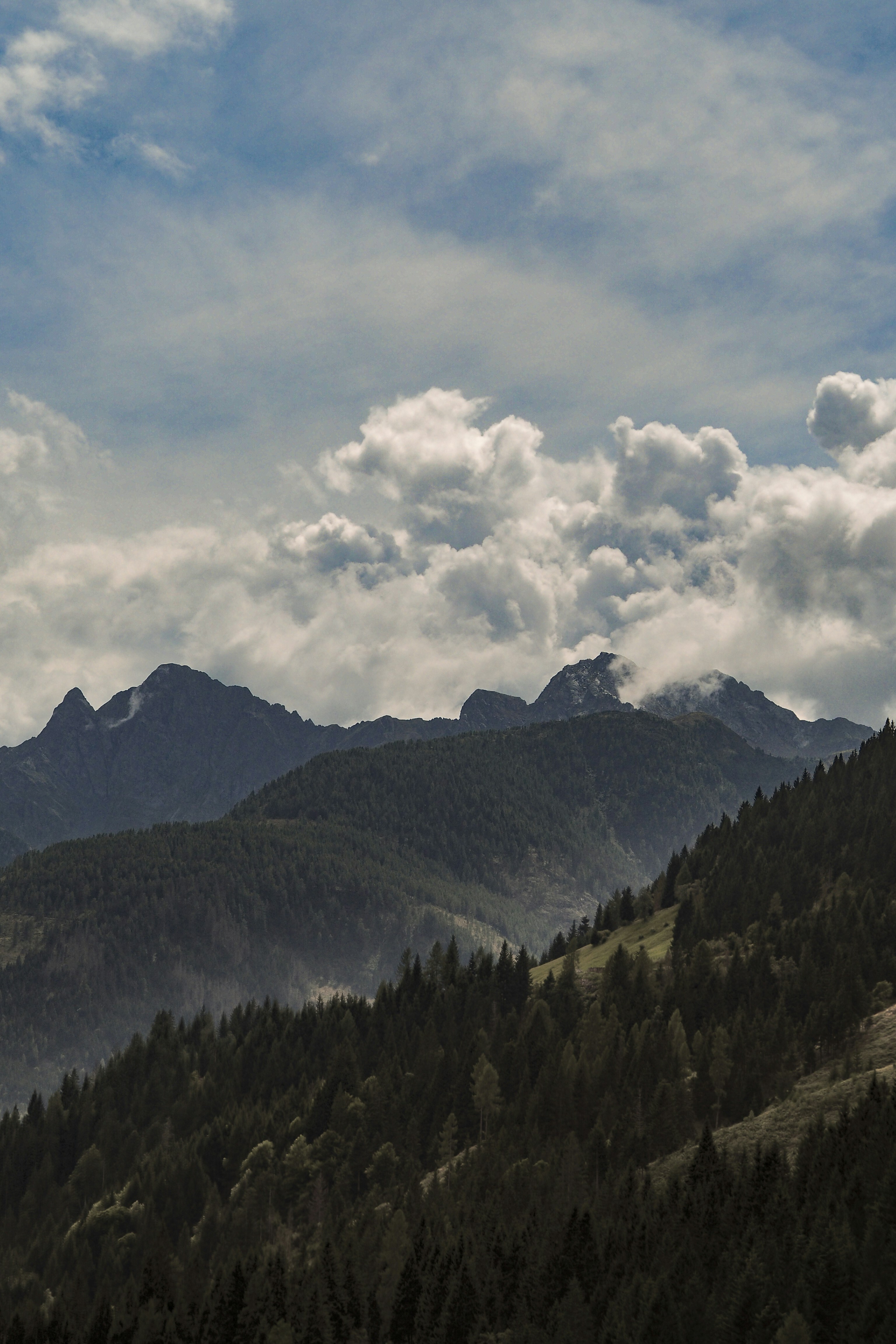 Photo by laurachouette