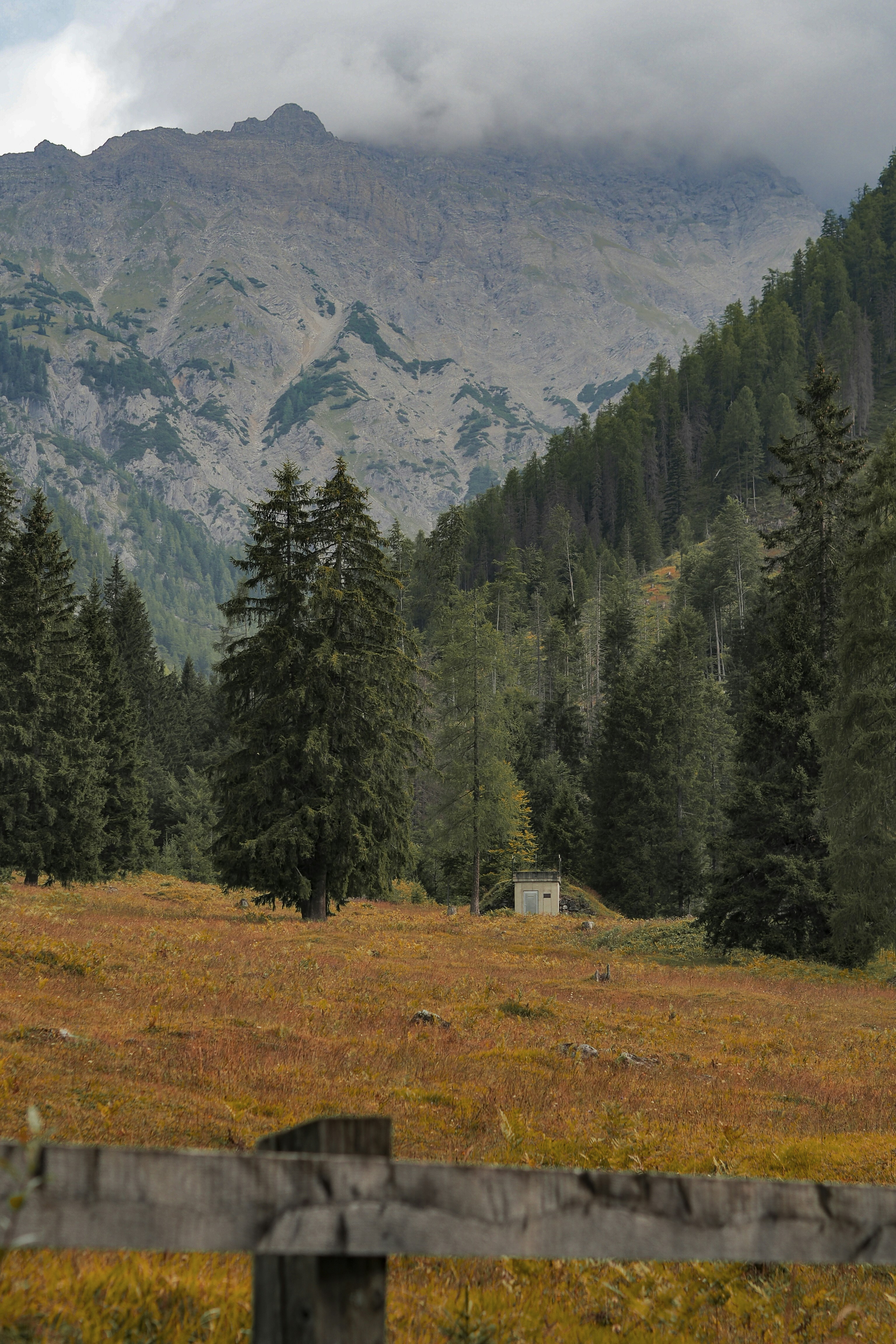 Photo by laurachouette