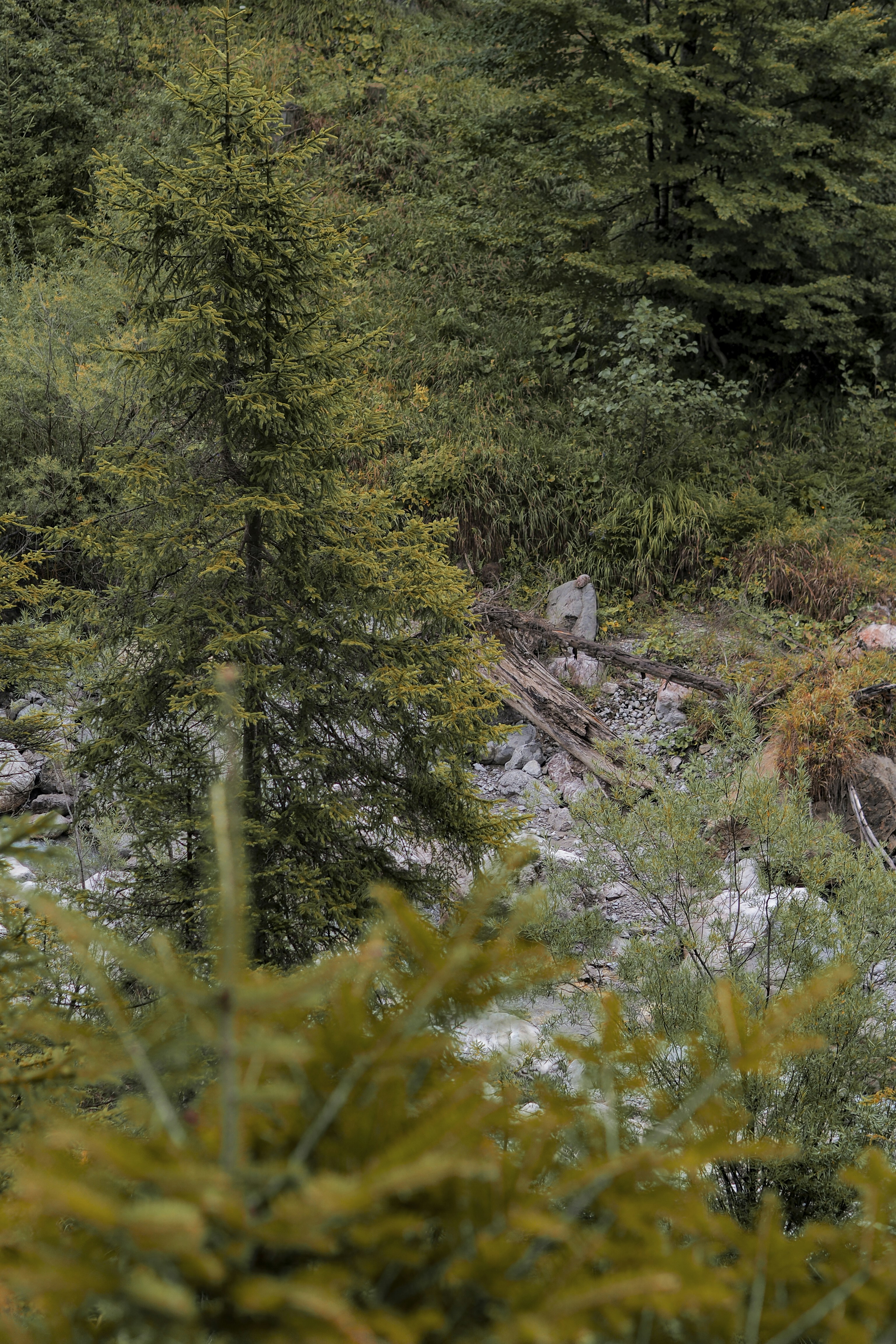 Photo by laurachouette