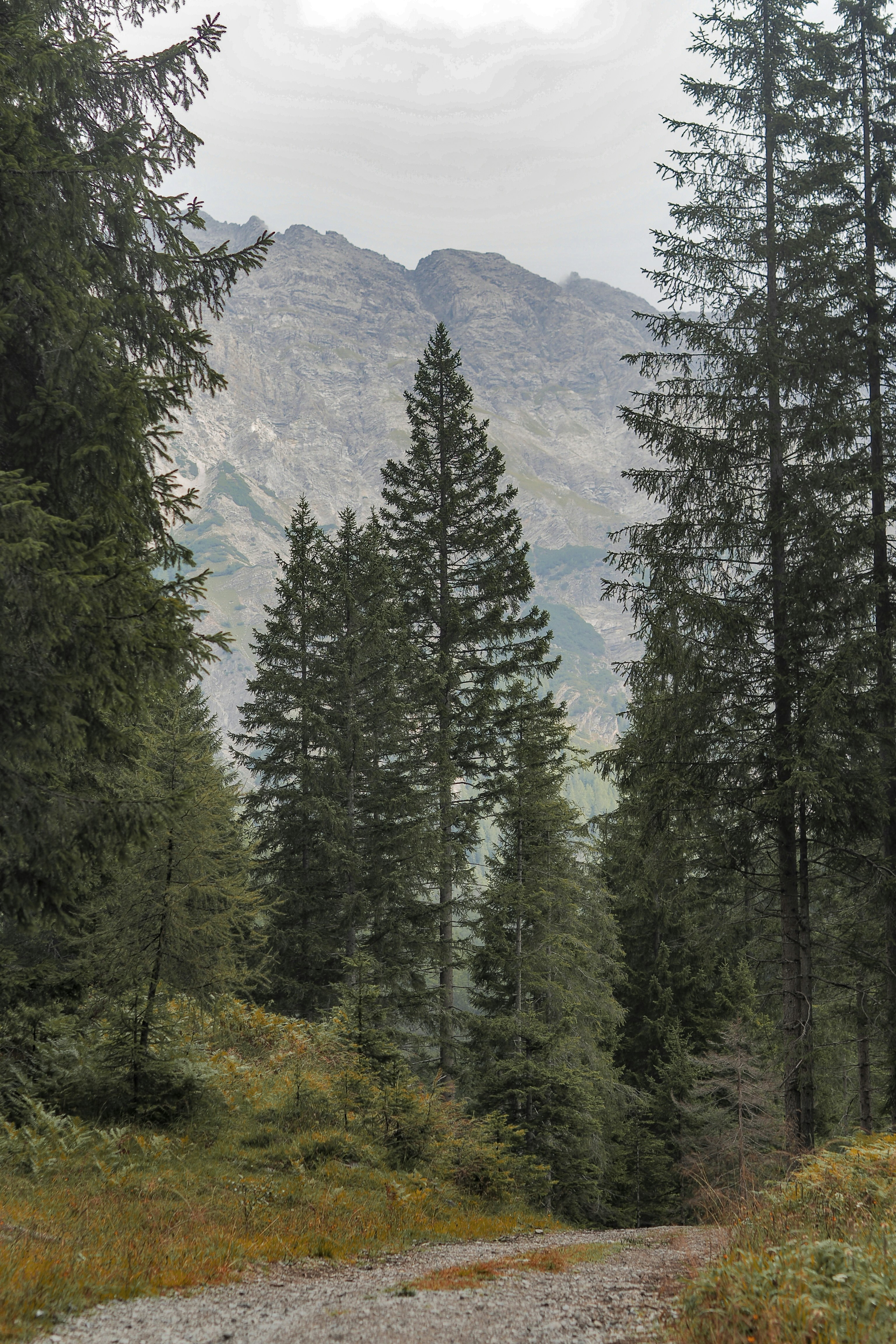 Photo by laurachouette