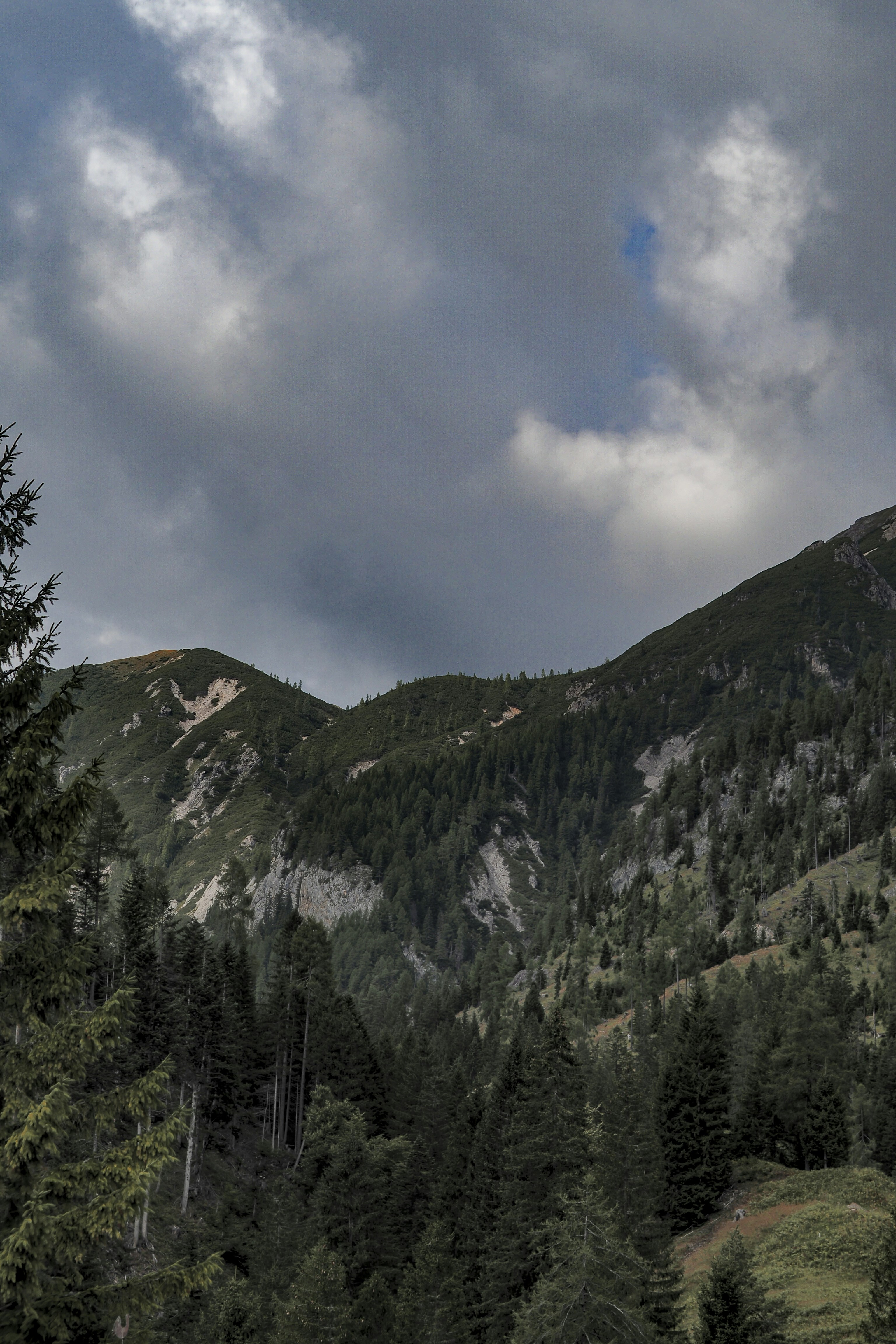 Photo by laurachouette