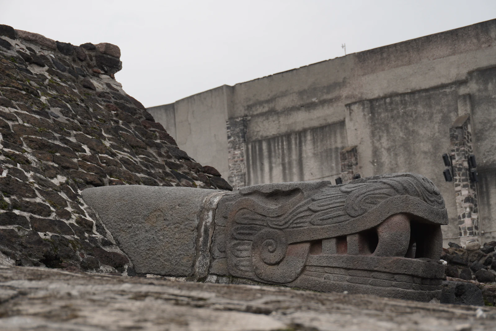 Cabeza de serpiente de piedra en ruinas mexicas