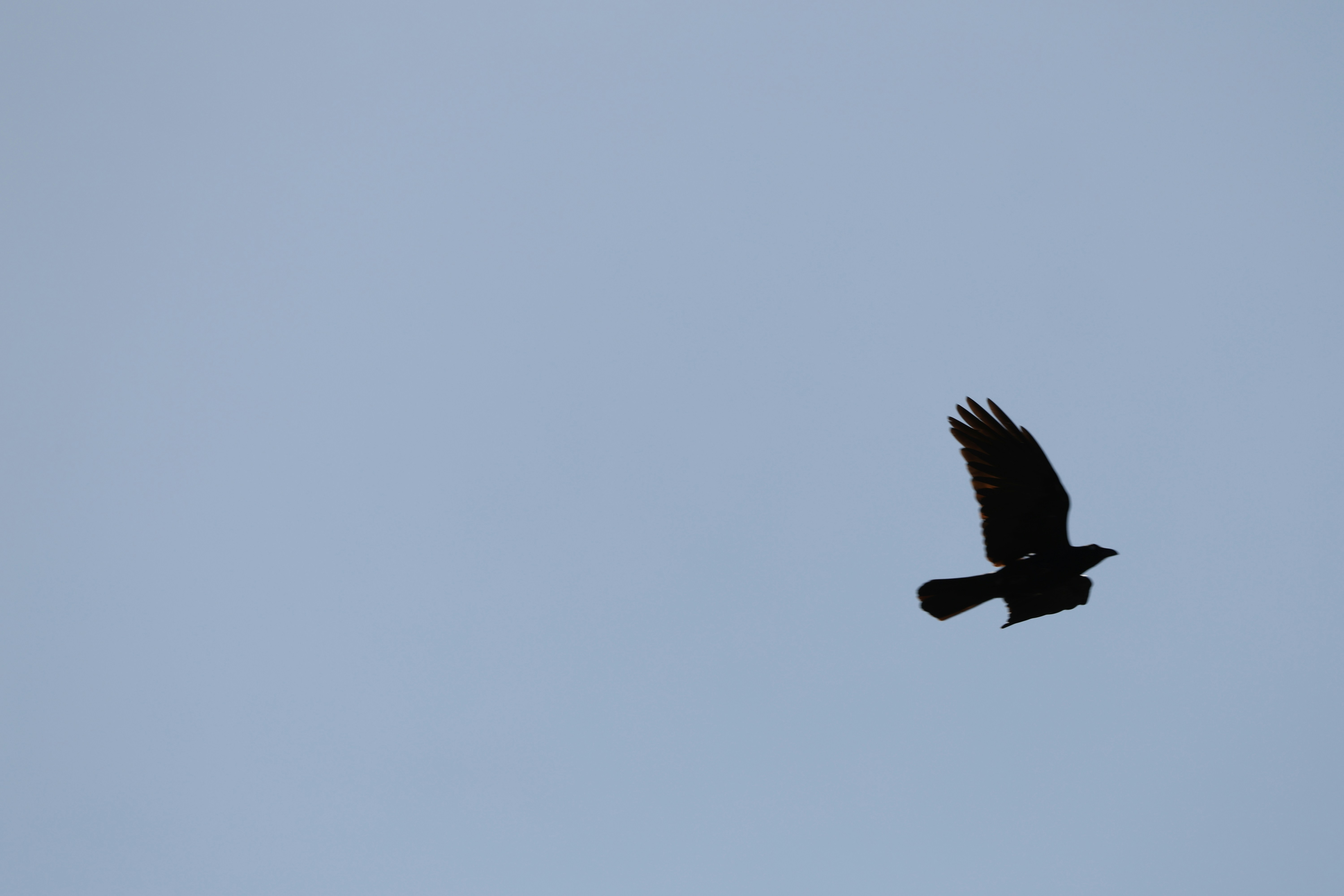 Photo by deraileddrips