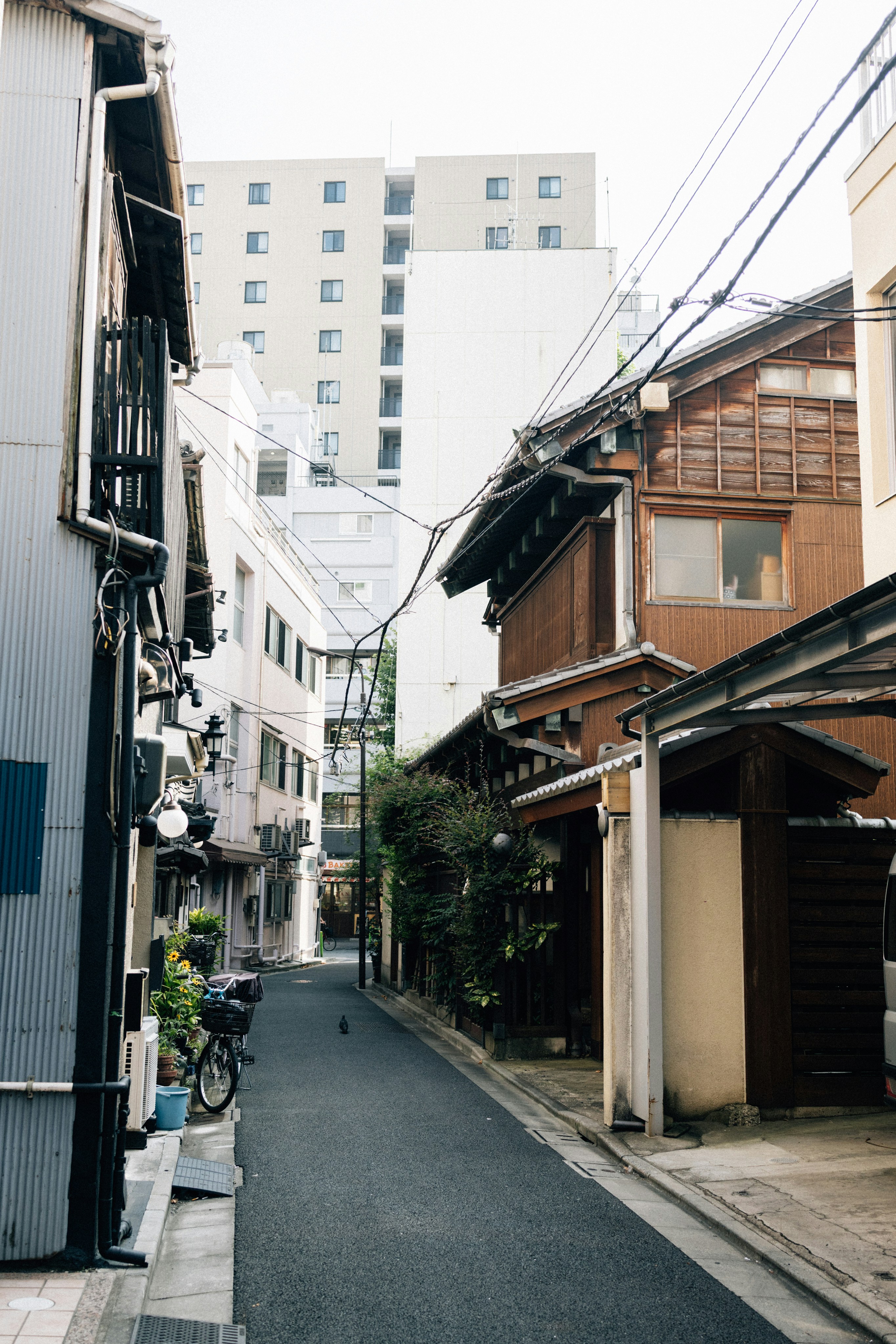 Photo by tsuyoshikozu