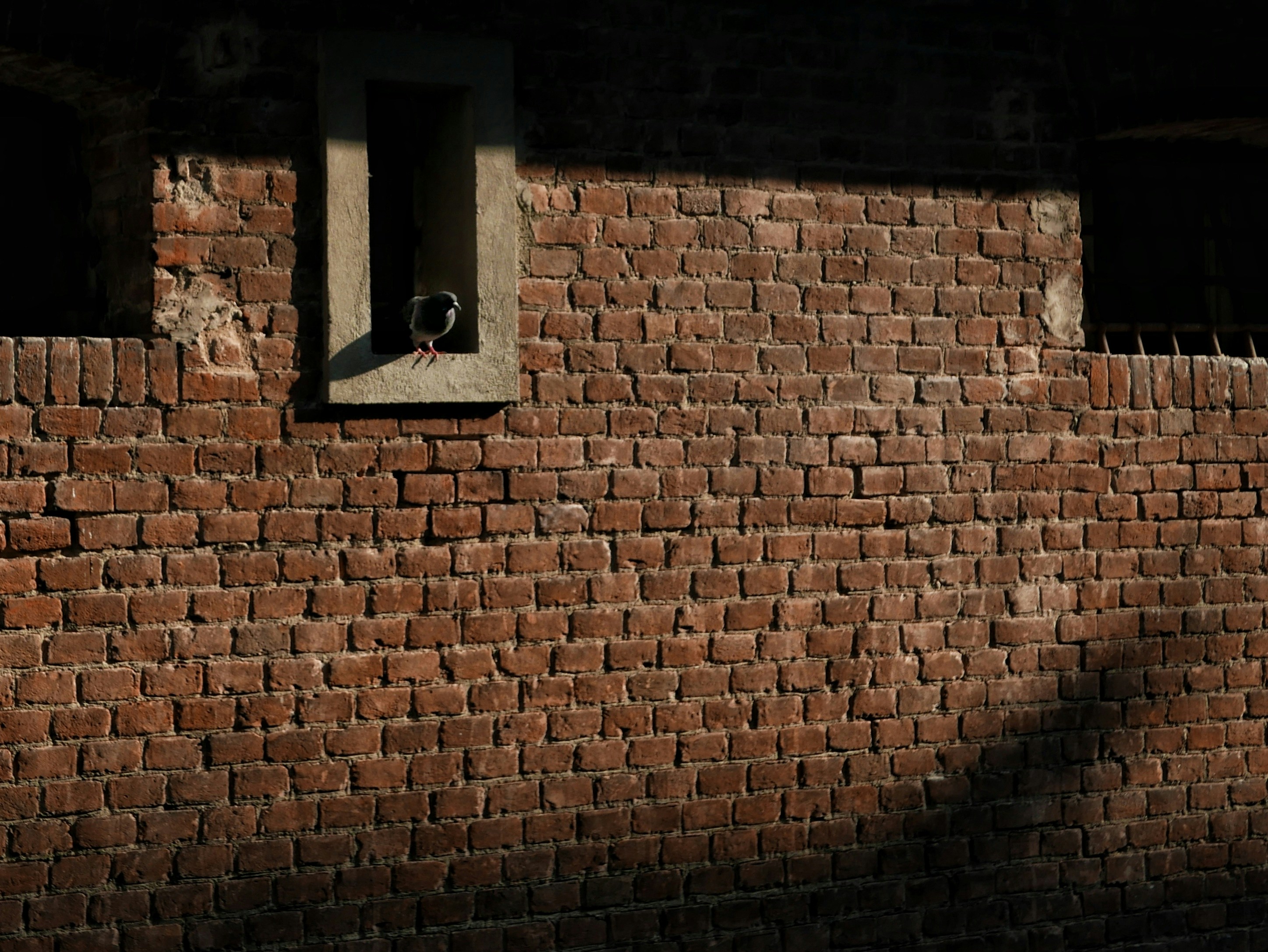 Photo by maurofavaron