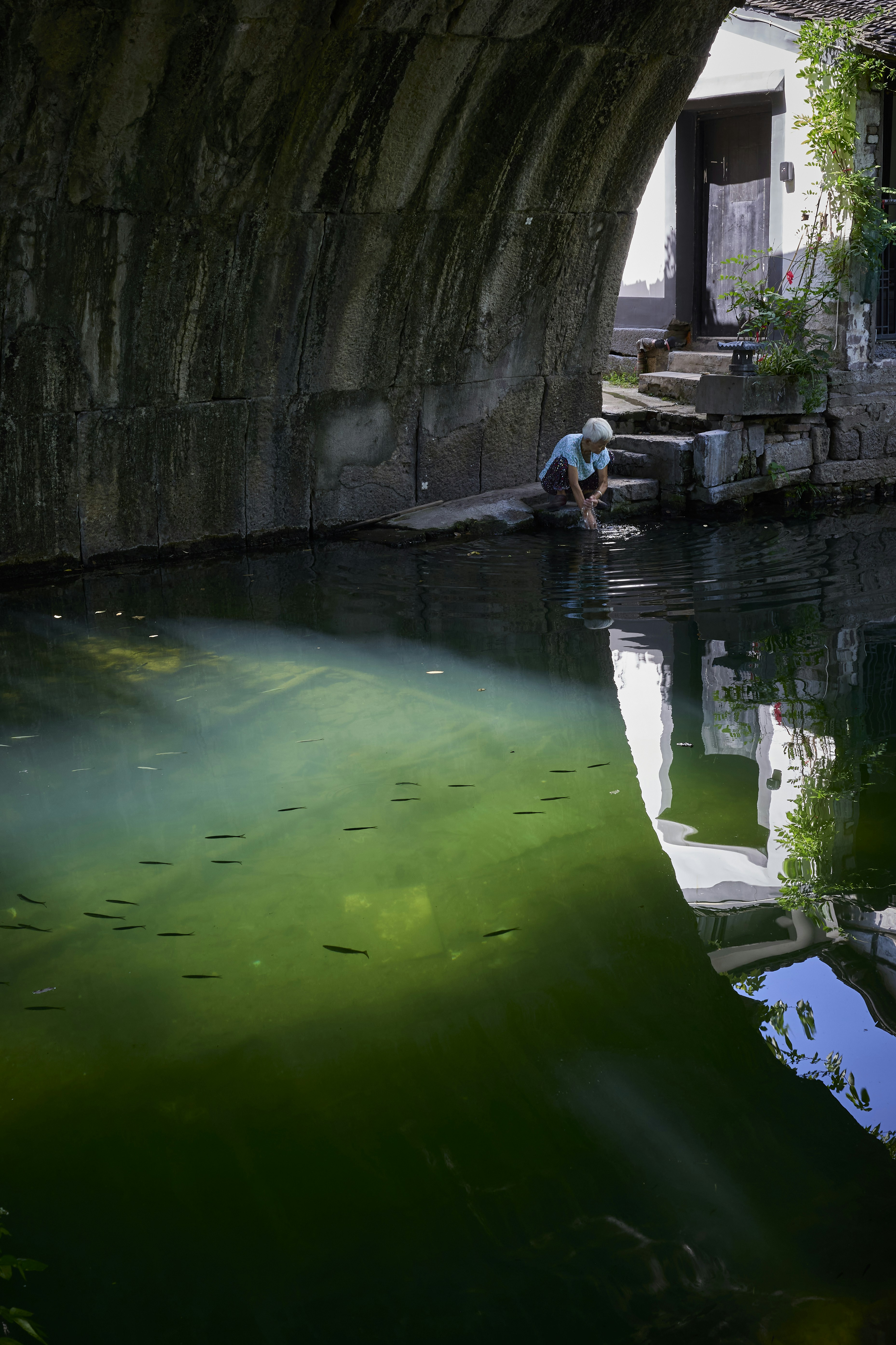 Person washing hands in canal with small fish swimming