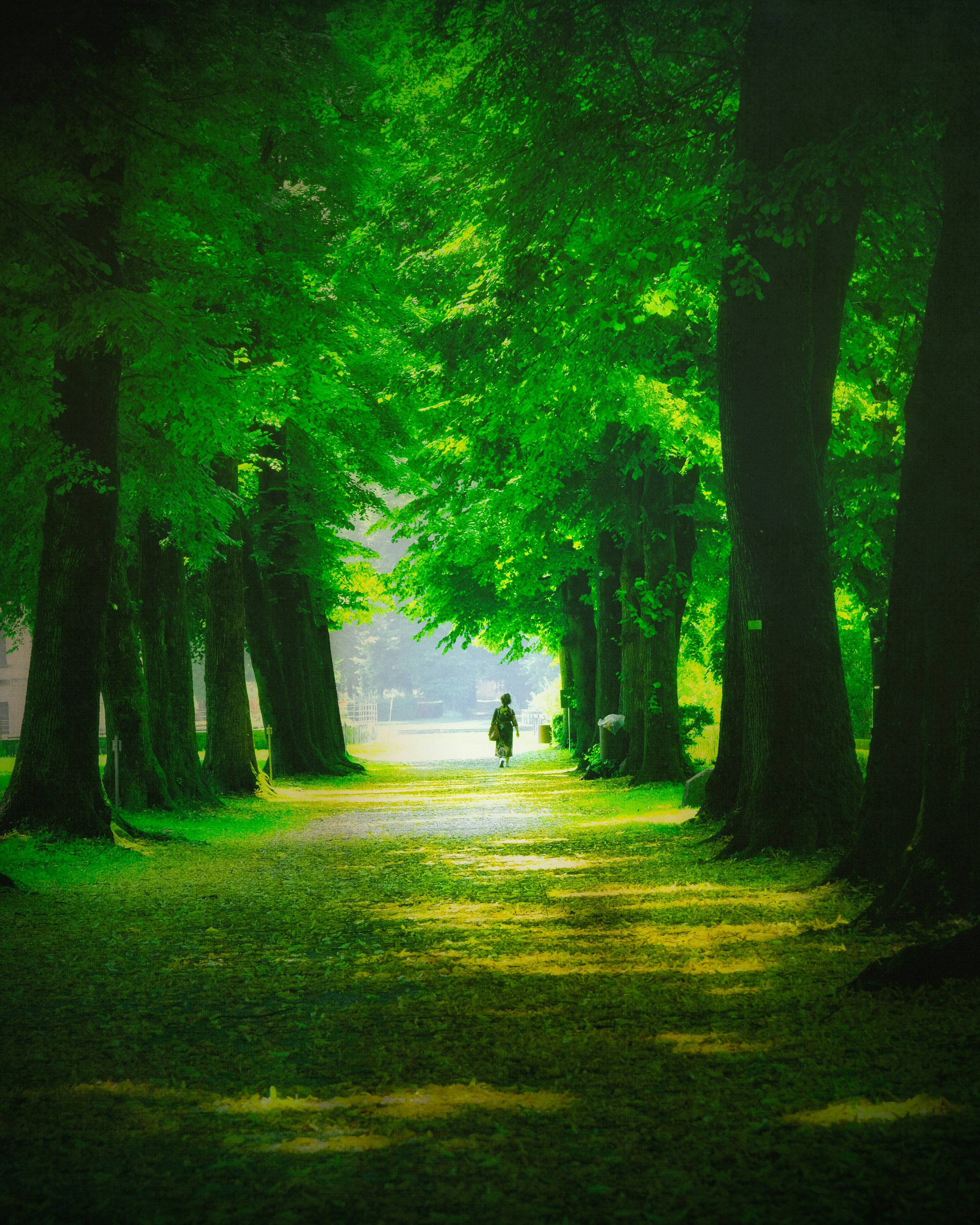 Photo by enricosottocorna