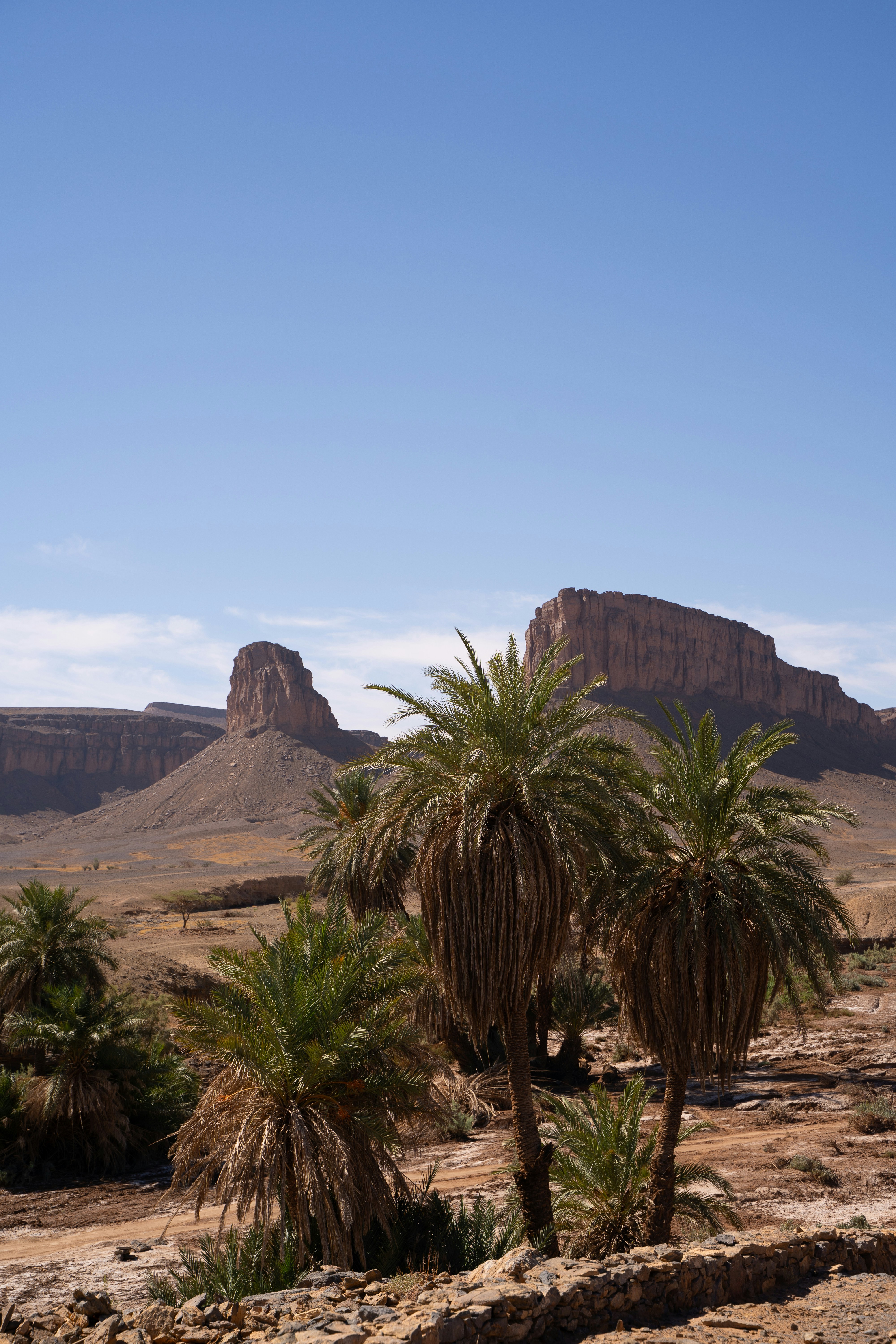 Photo by franceeesca_f