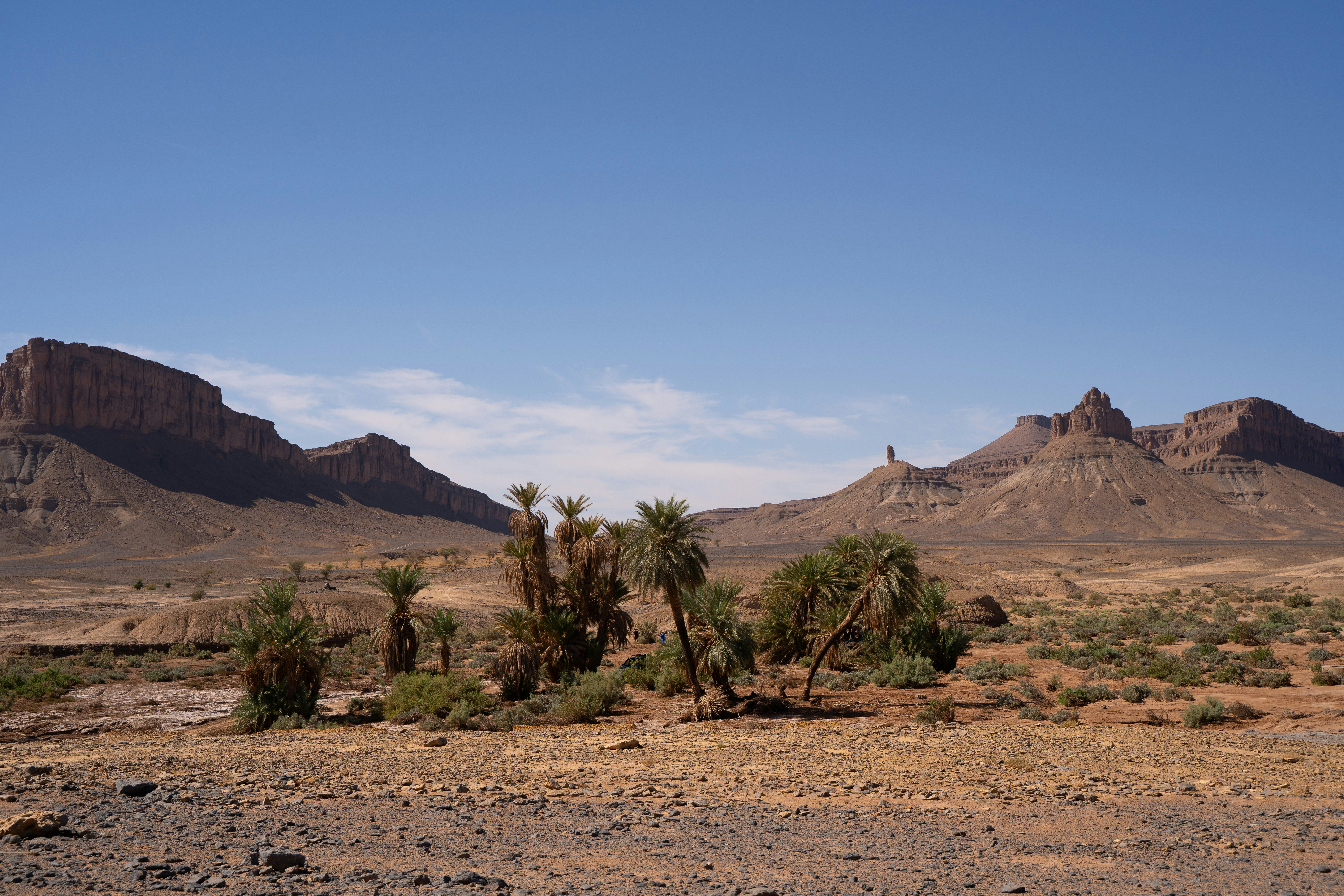 Photo by franceeesca_f