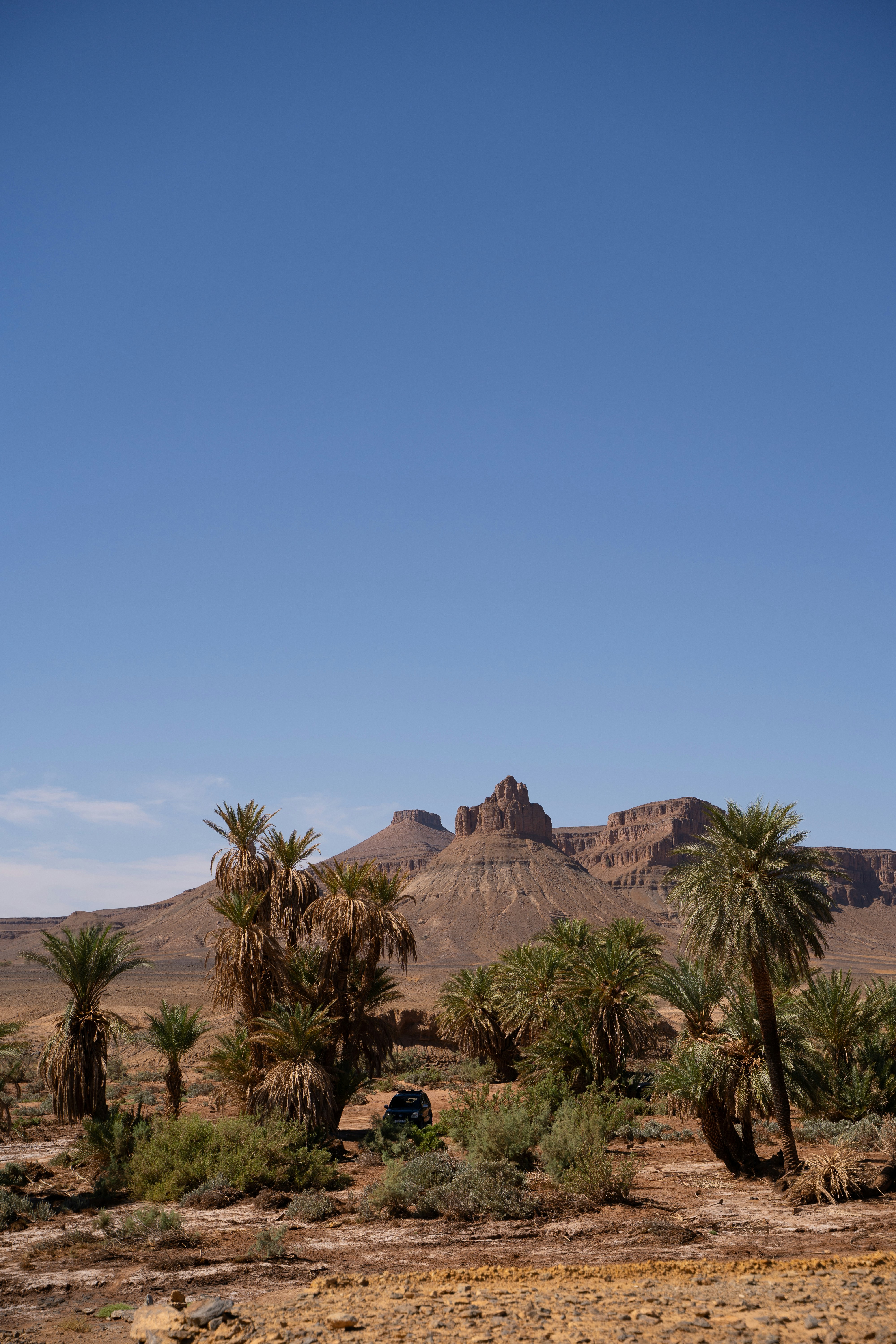 Photo by franceeesca_f