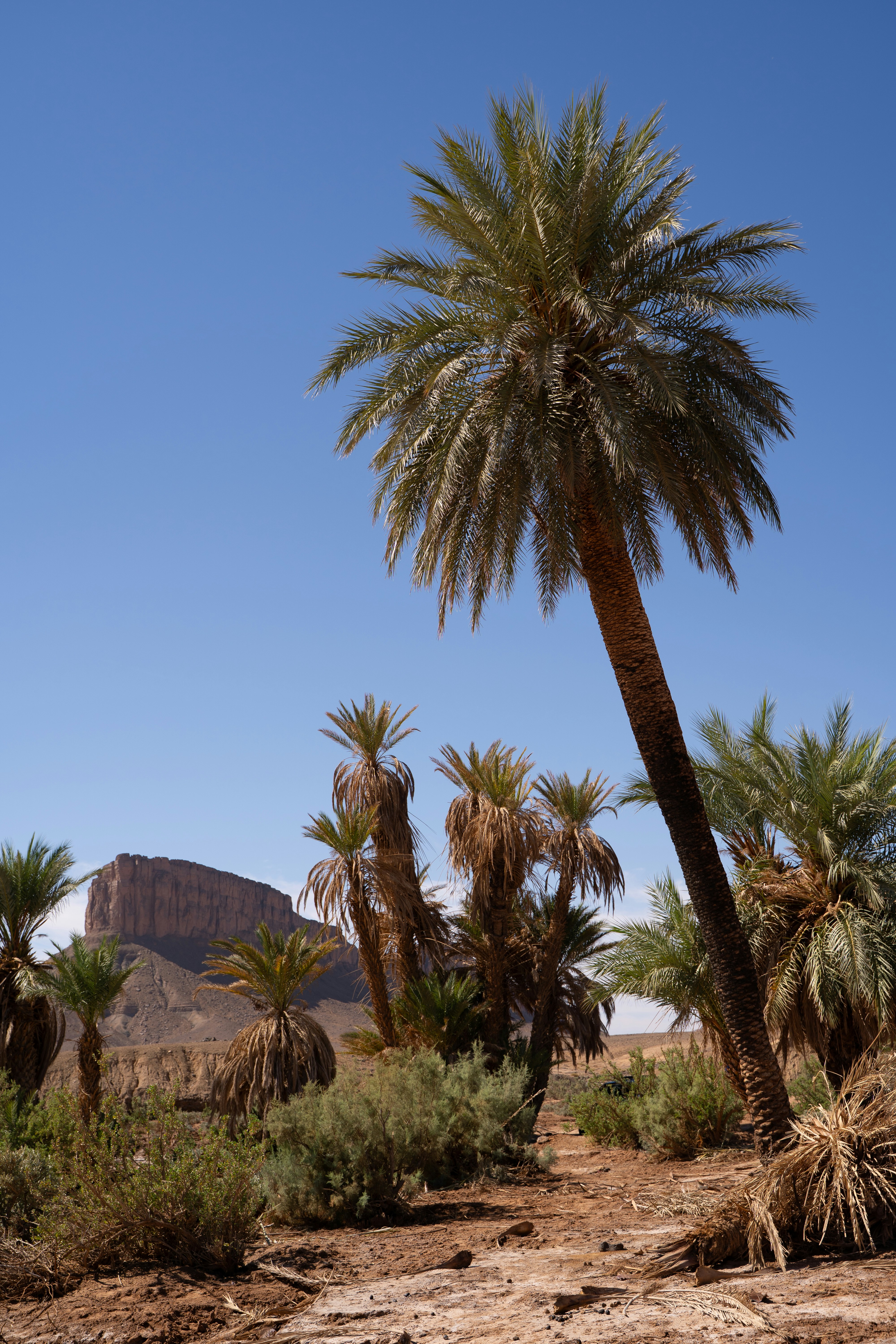 Photo by franceeesca_f