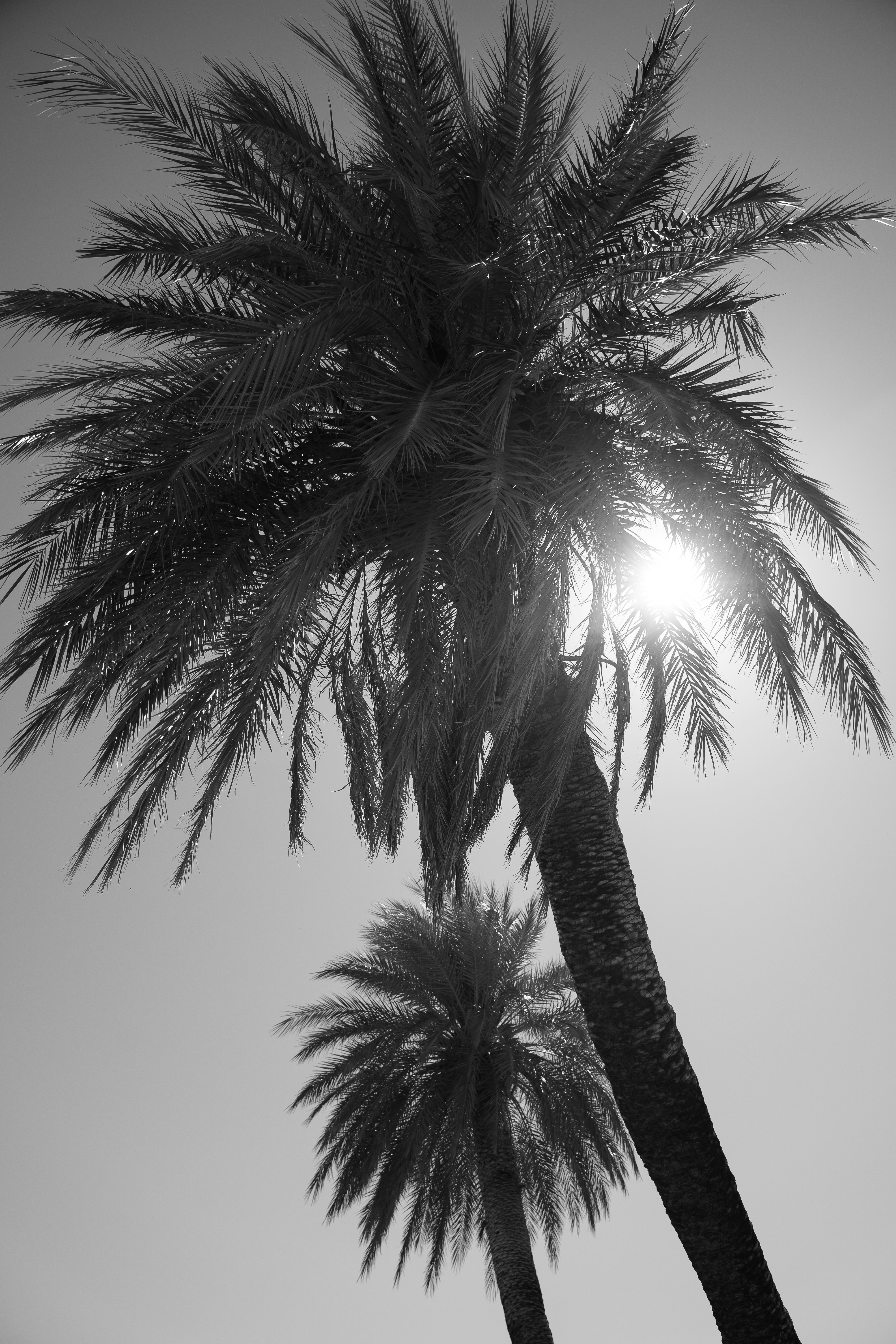 Photo by franceeesca_f