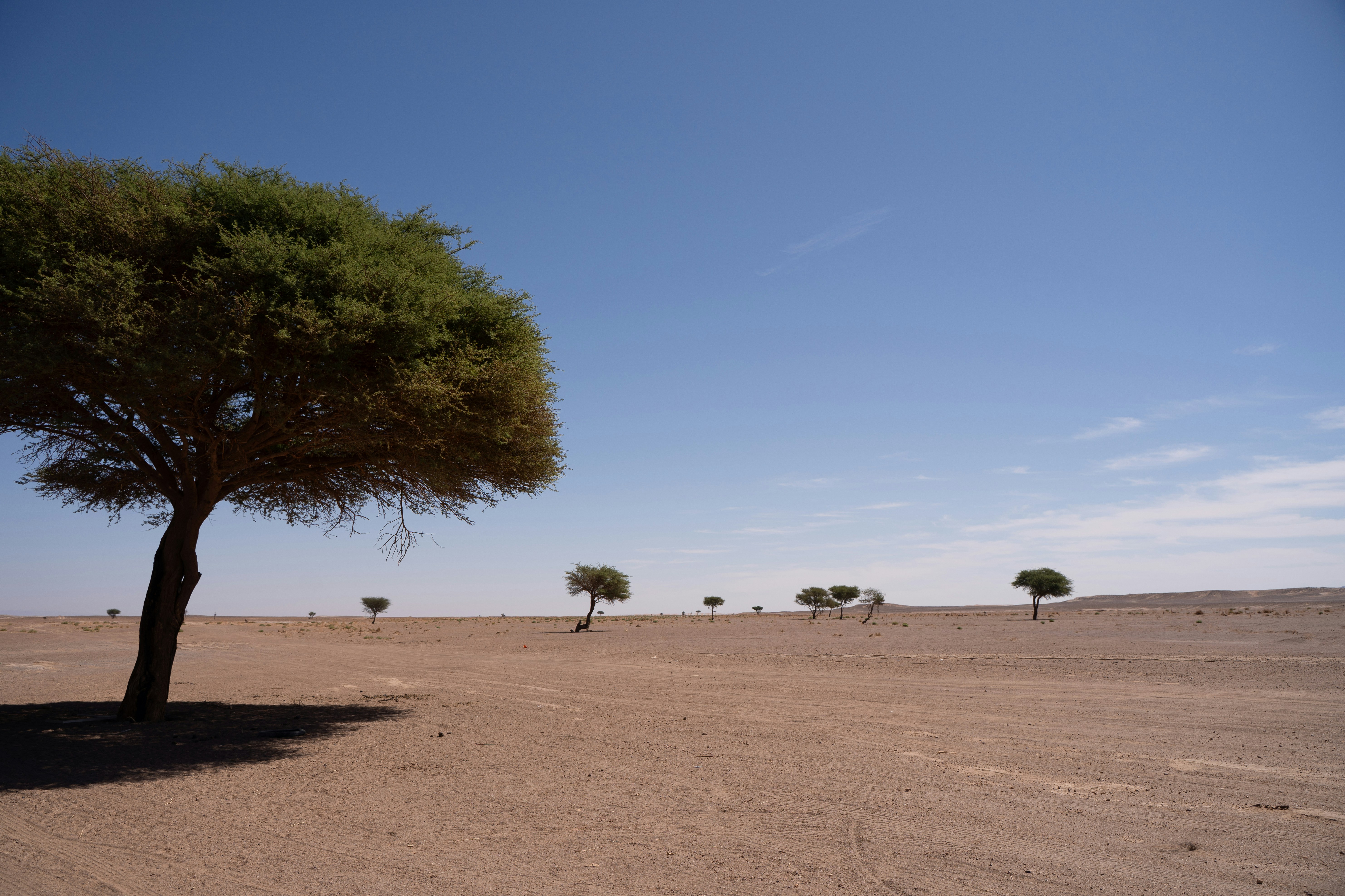 Photo by franceeesca_f