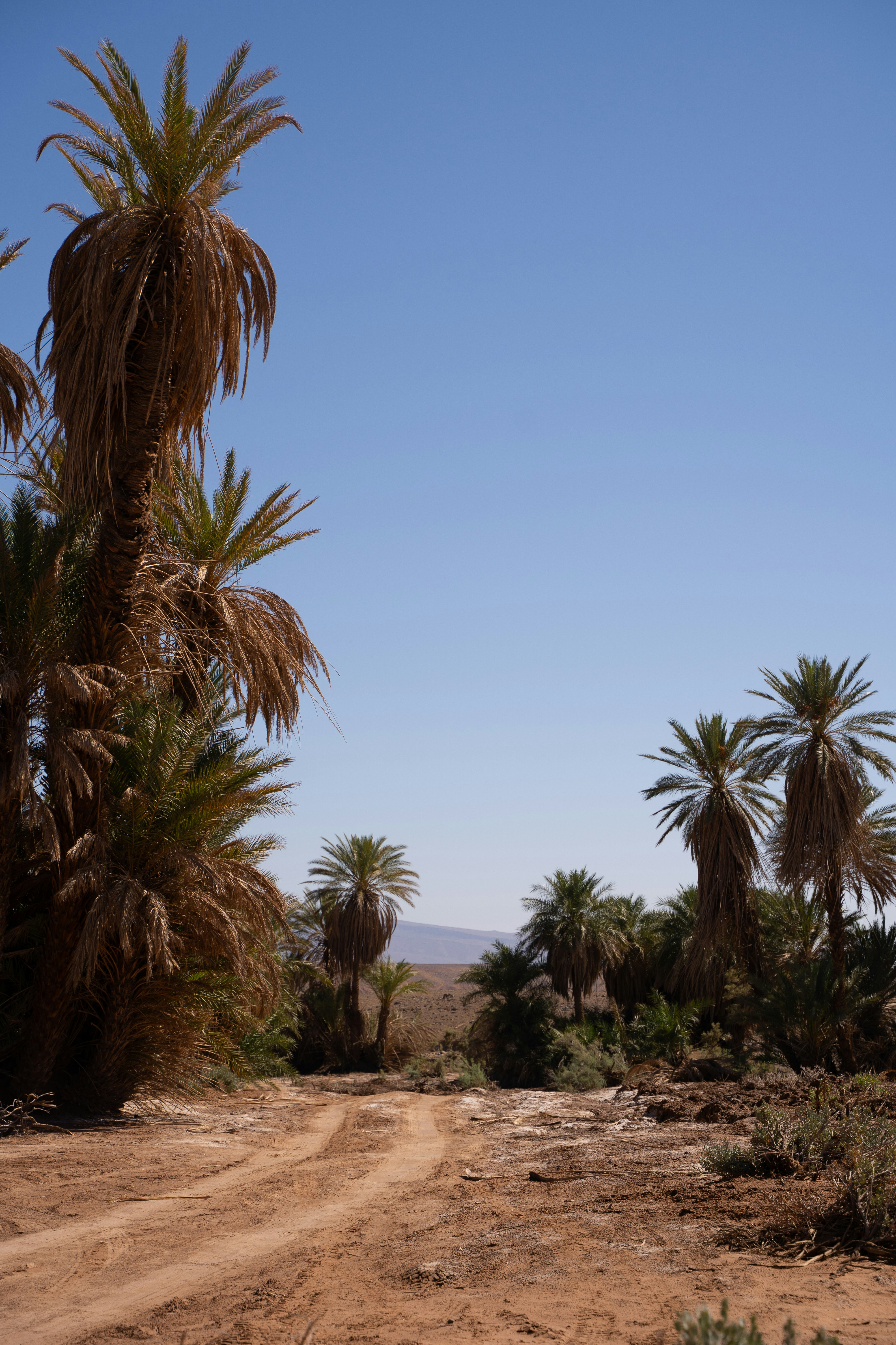 Photo by franceeesca_f