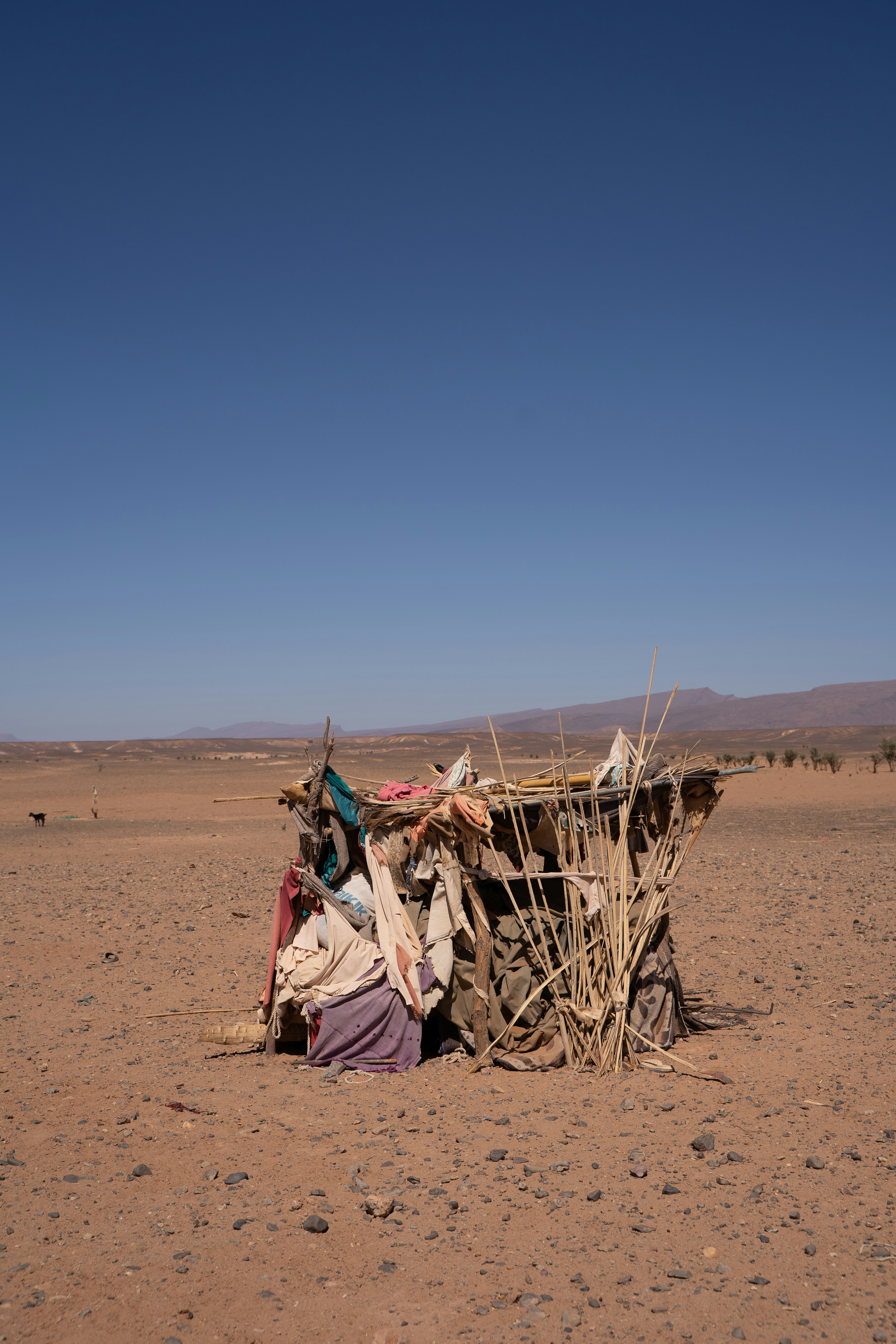 Makeshift shelter in a dry, barren desert landscape.