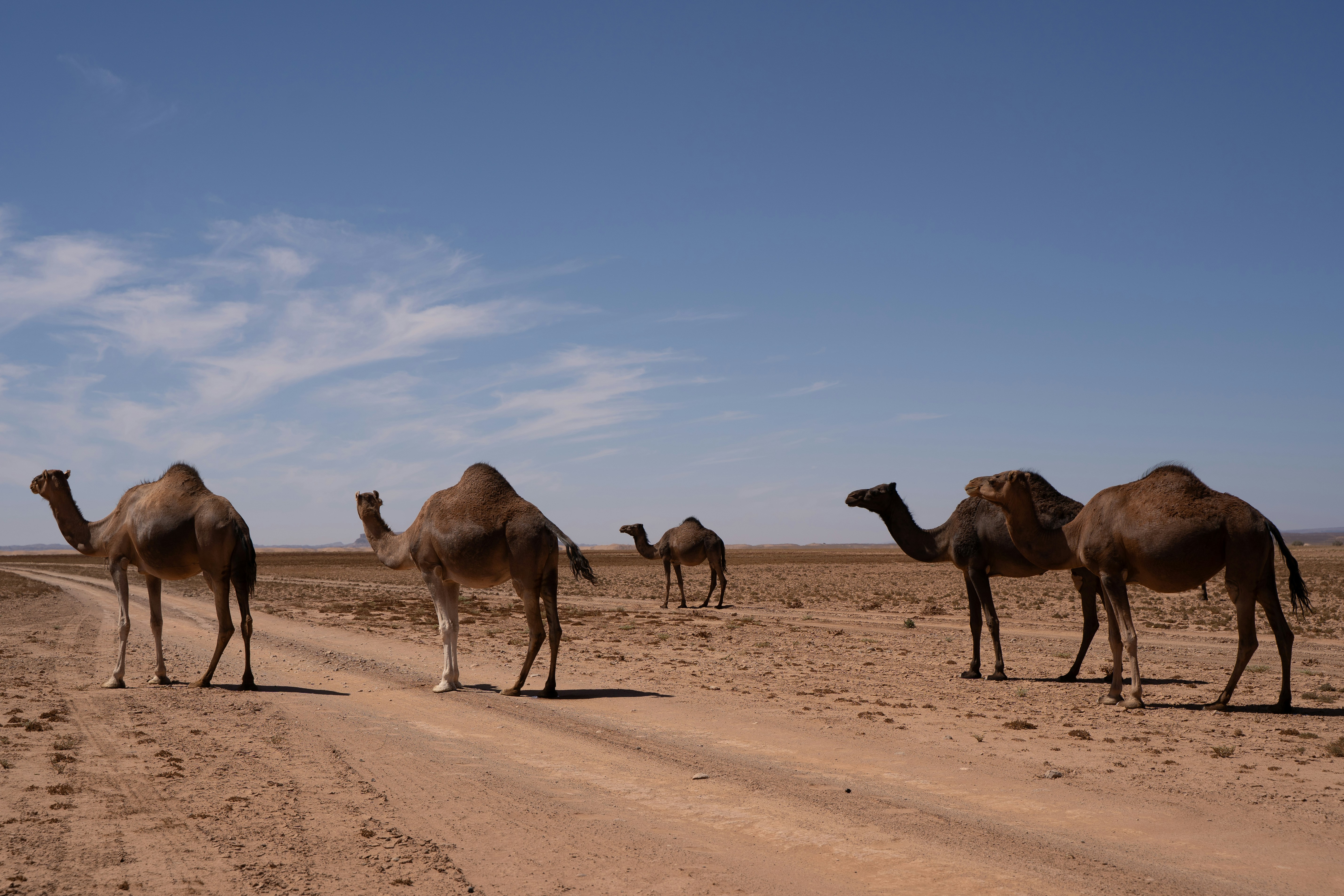 Photo by franceeesca_f