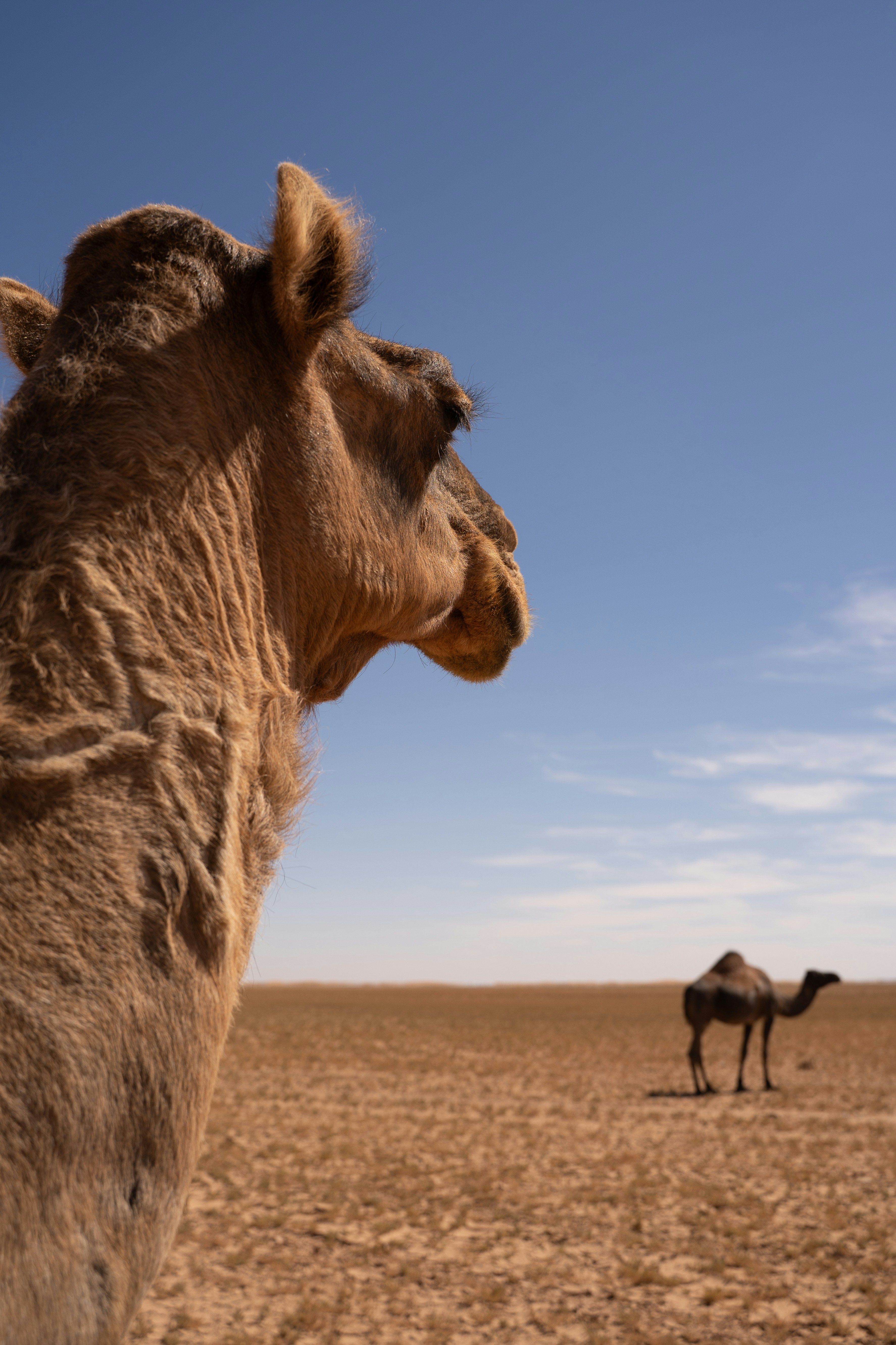 Photo by franceeesca_f