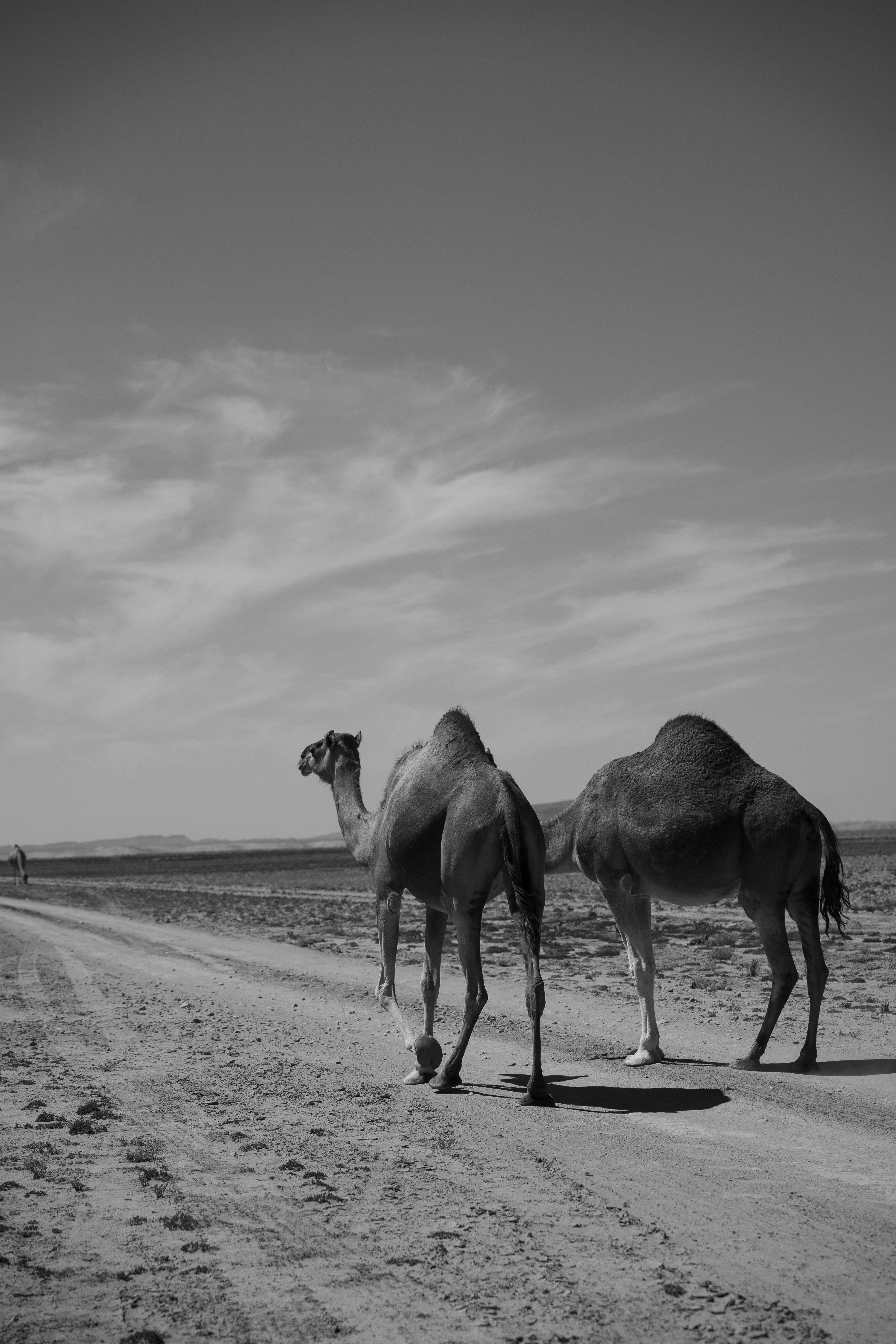 Photo by franceeesca_f