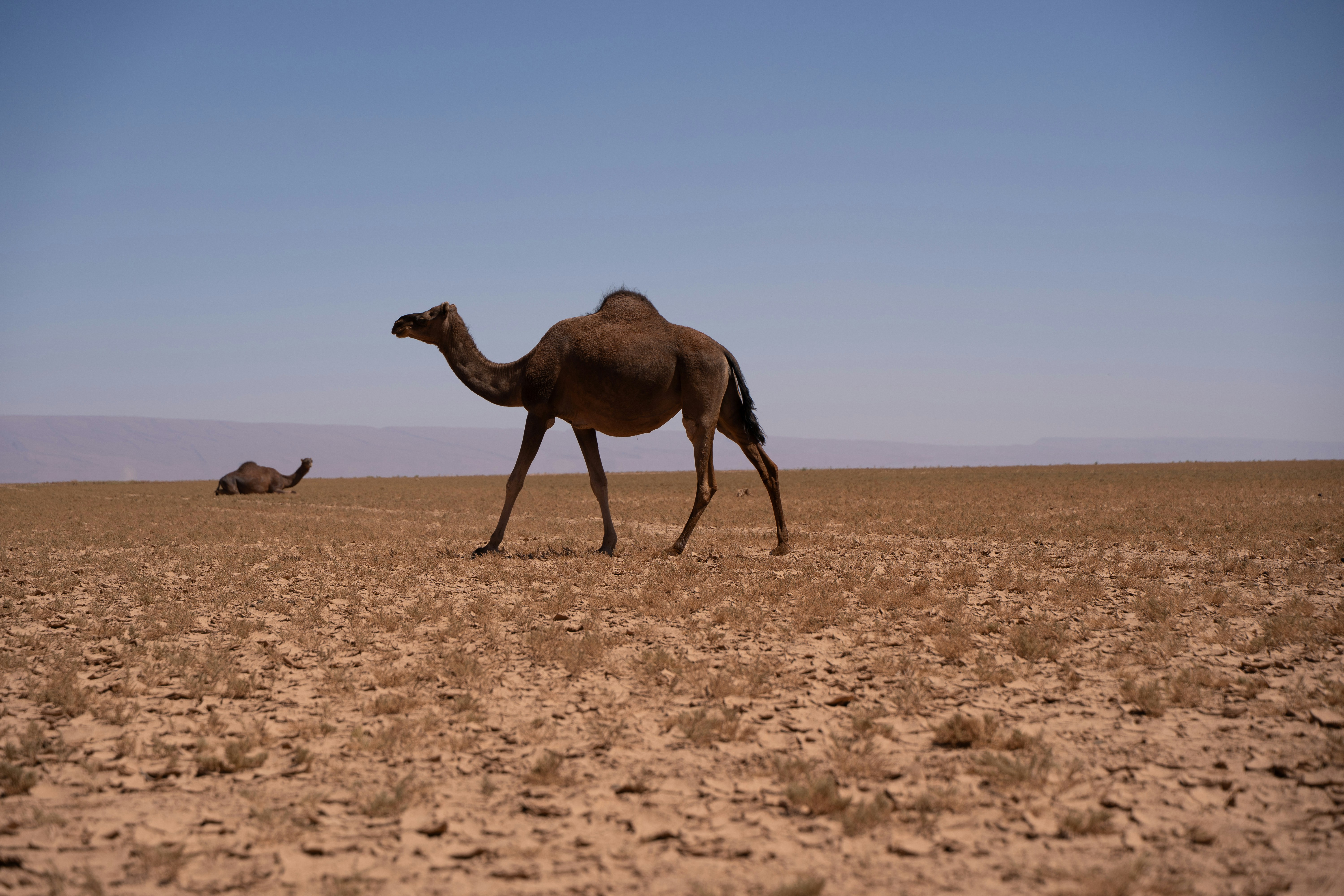 Photo by franceeesca_f