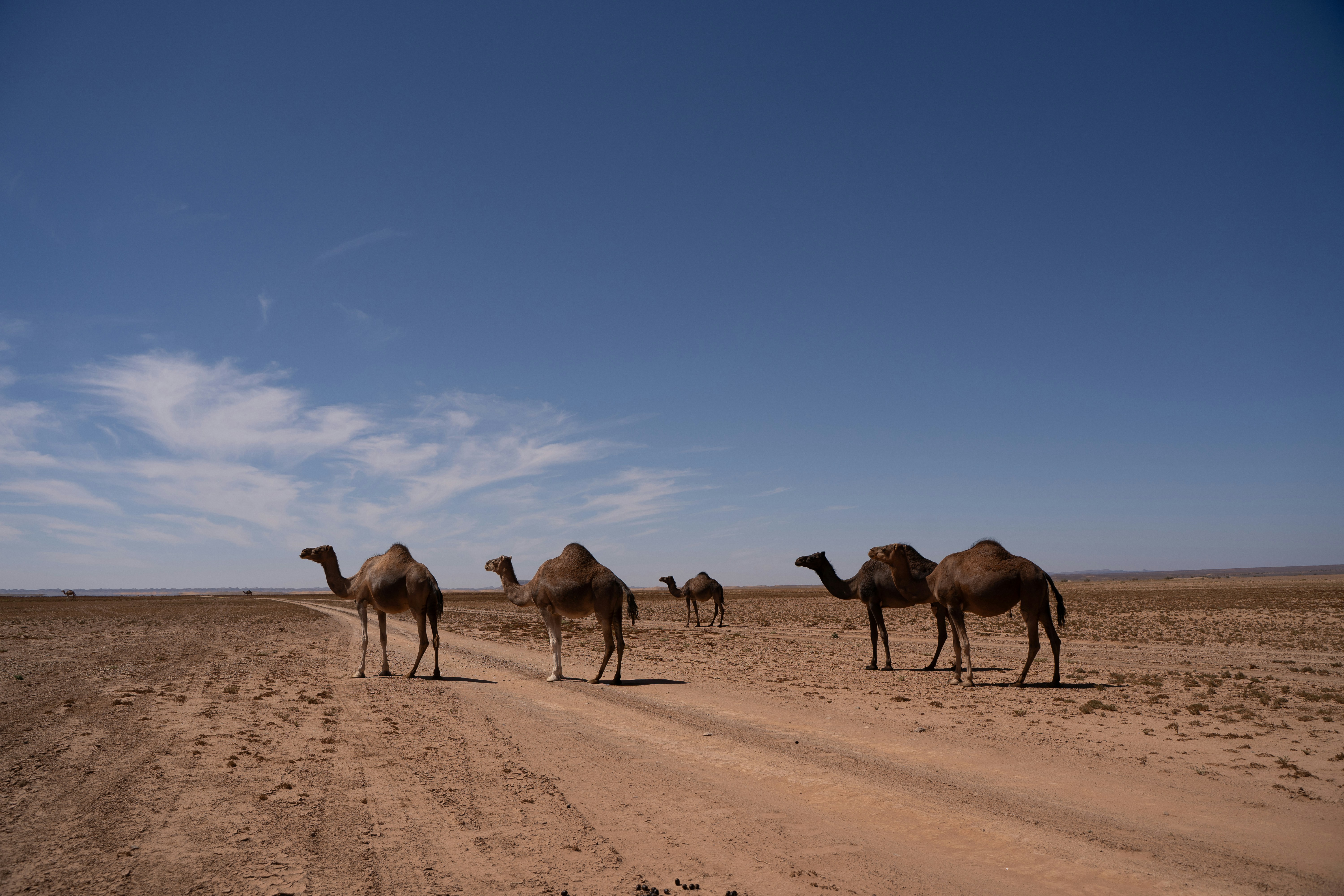 Photo by franceeesca_f