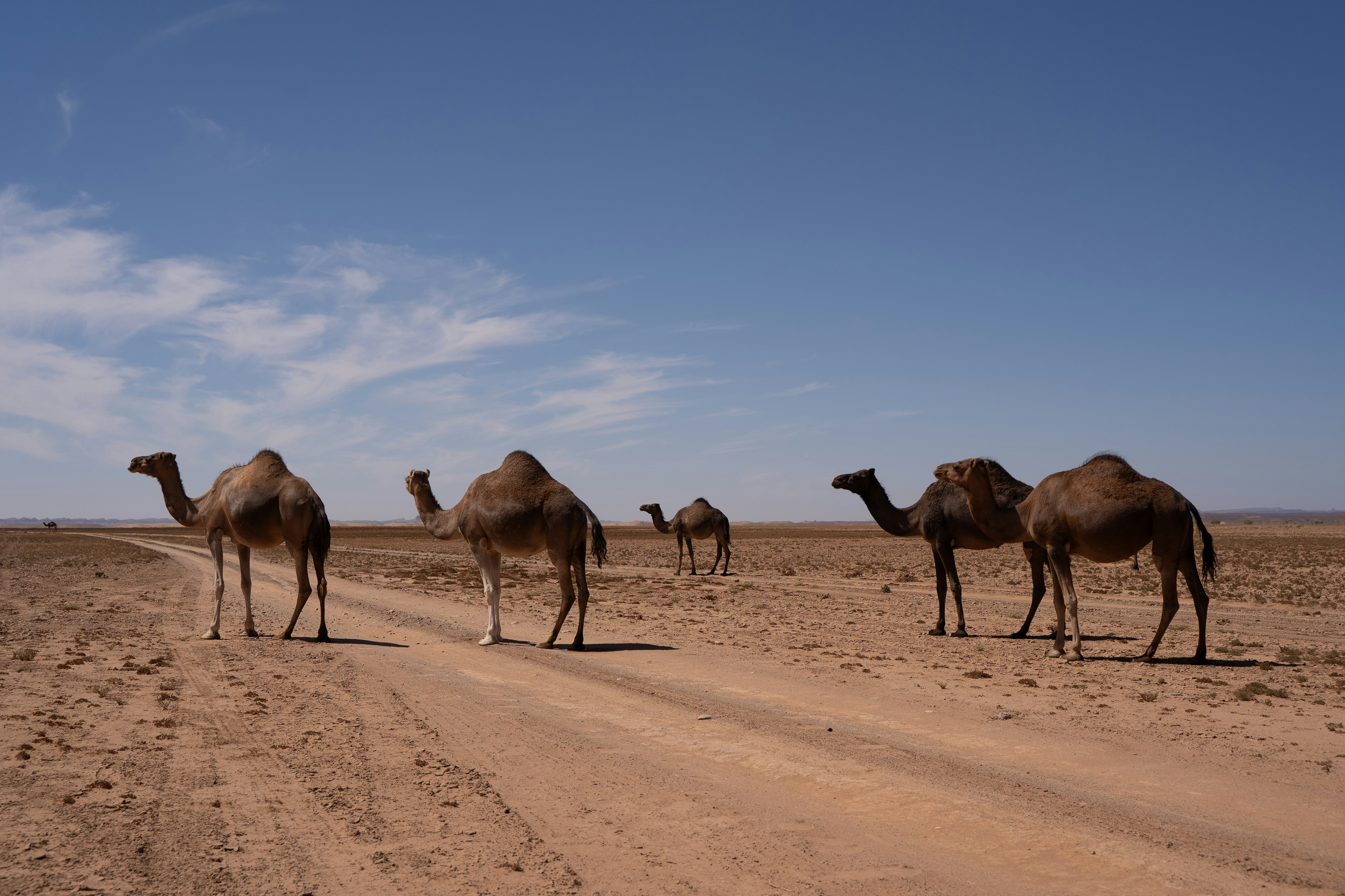 Photo by franceeesca_f