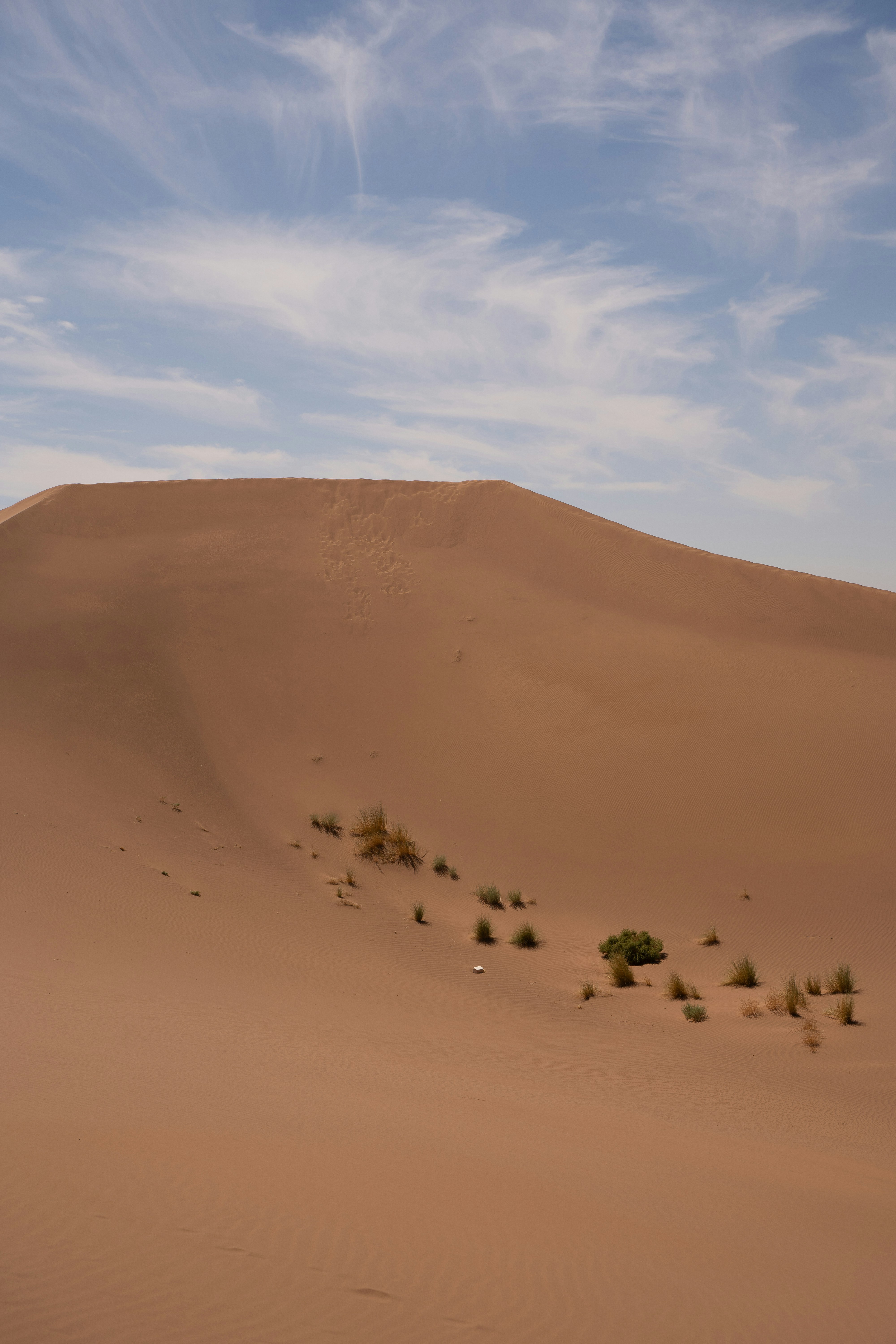 Photo by franceeesca_f