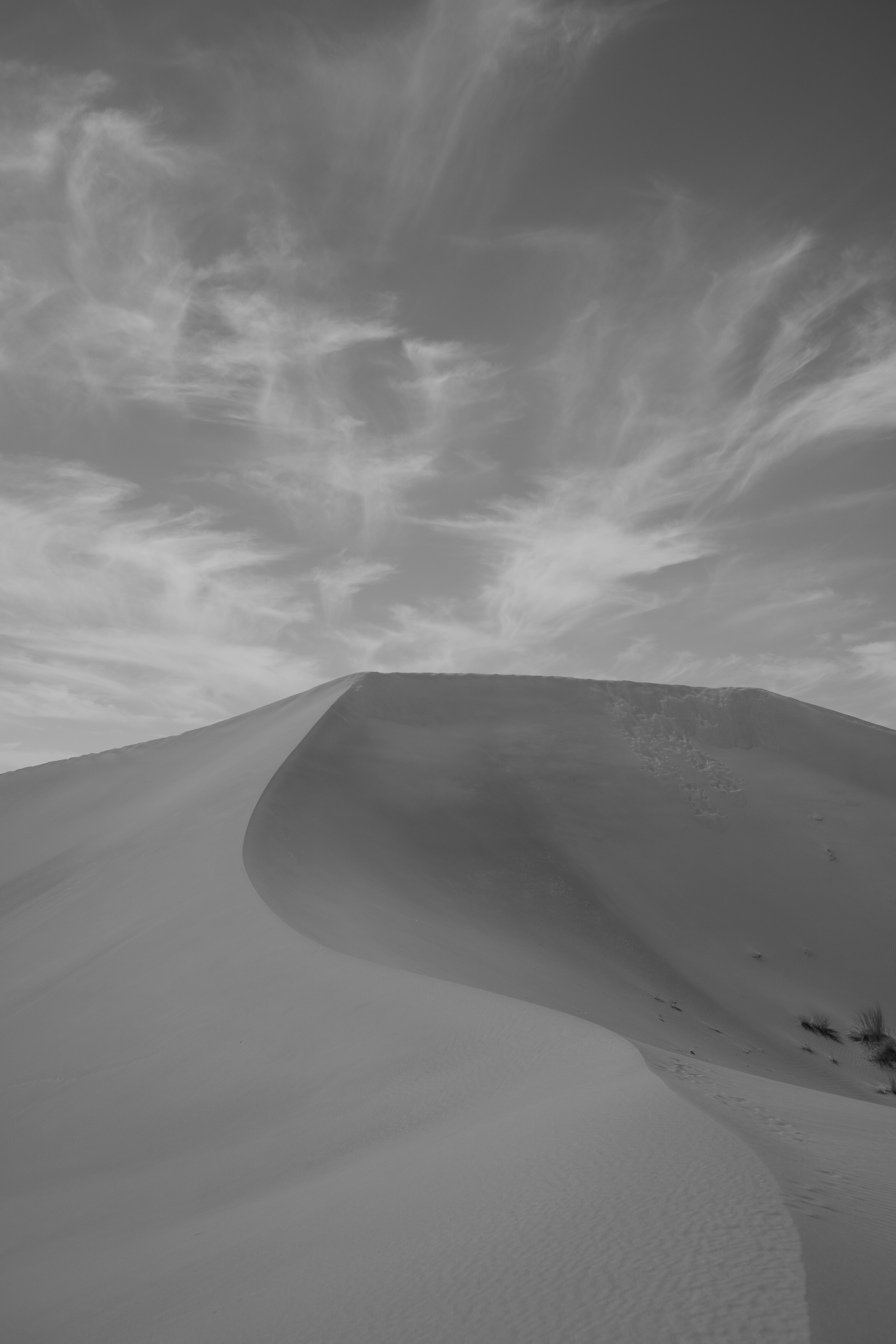 Photo by franceeesca_f