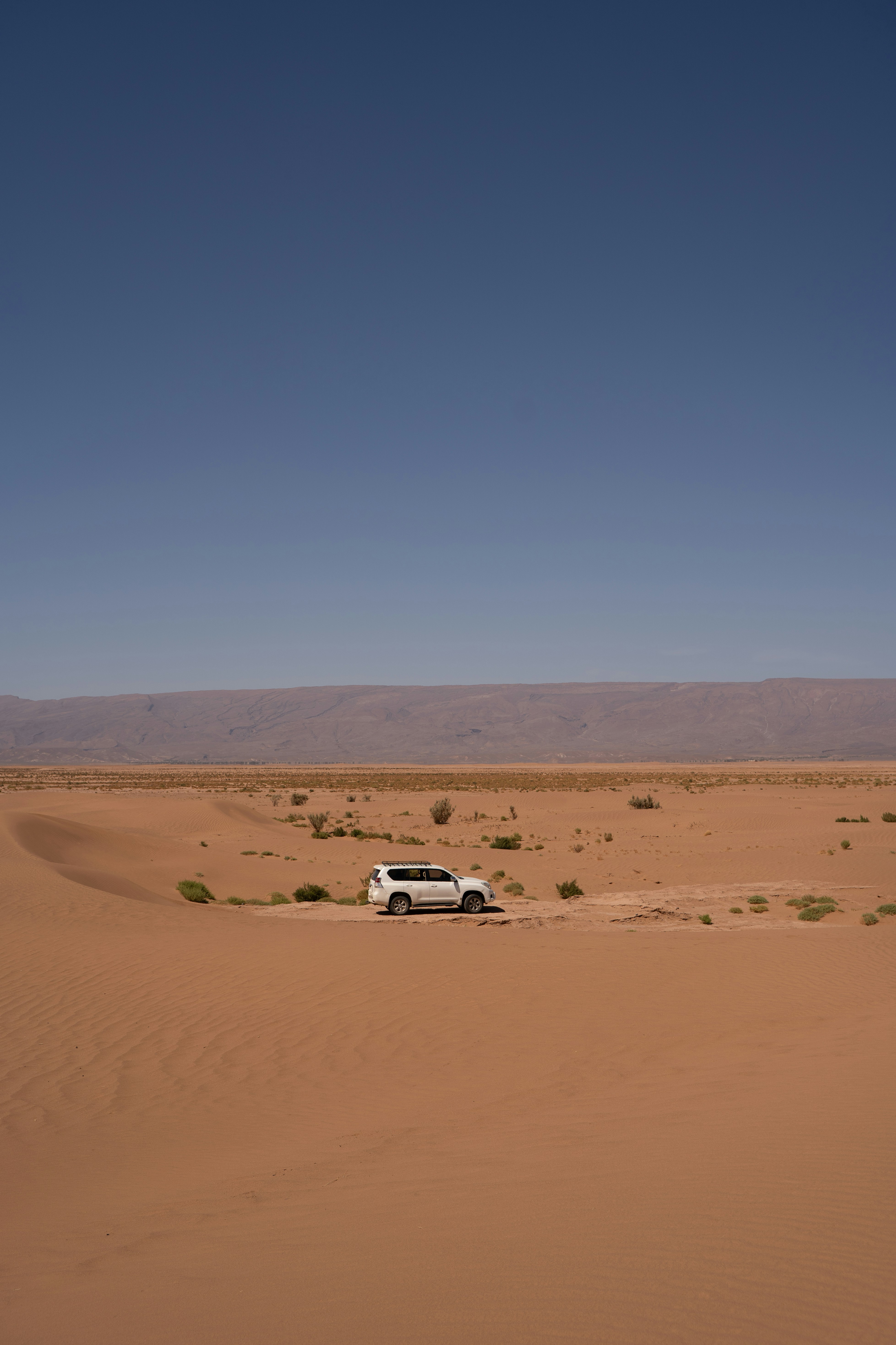 Photo by franceeesca_f