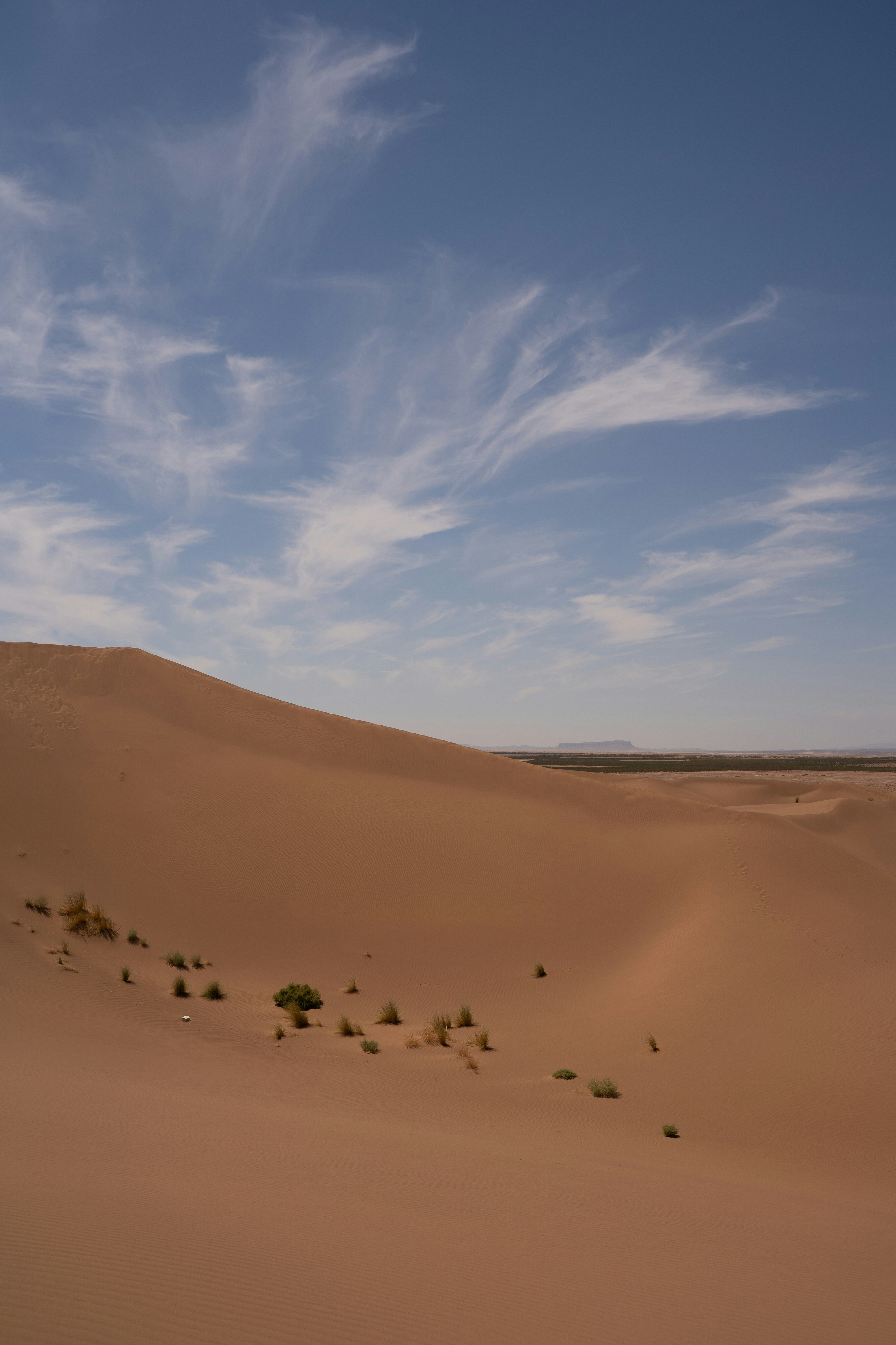 Oasis en el desierto