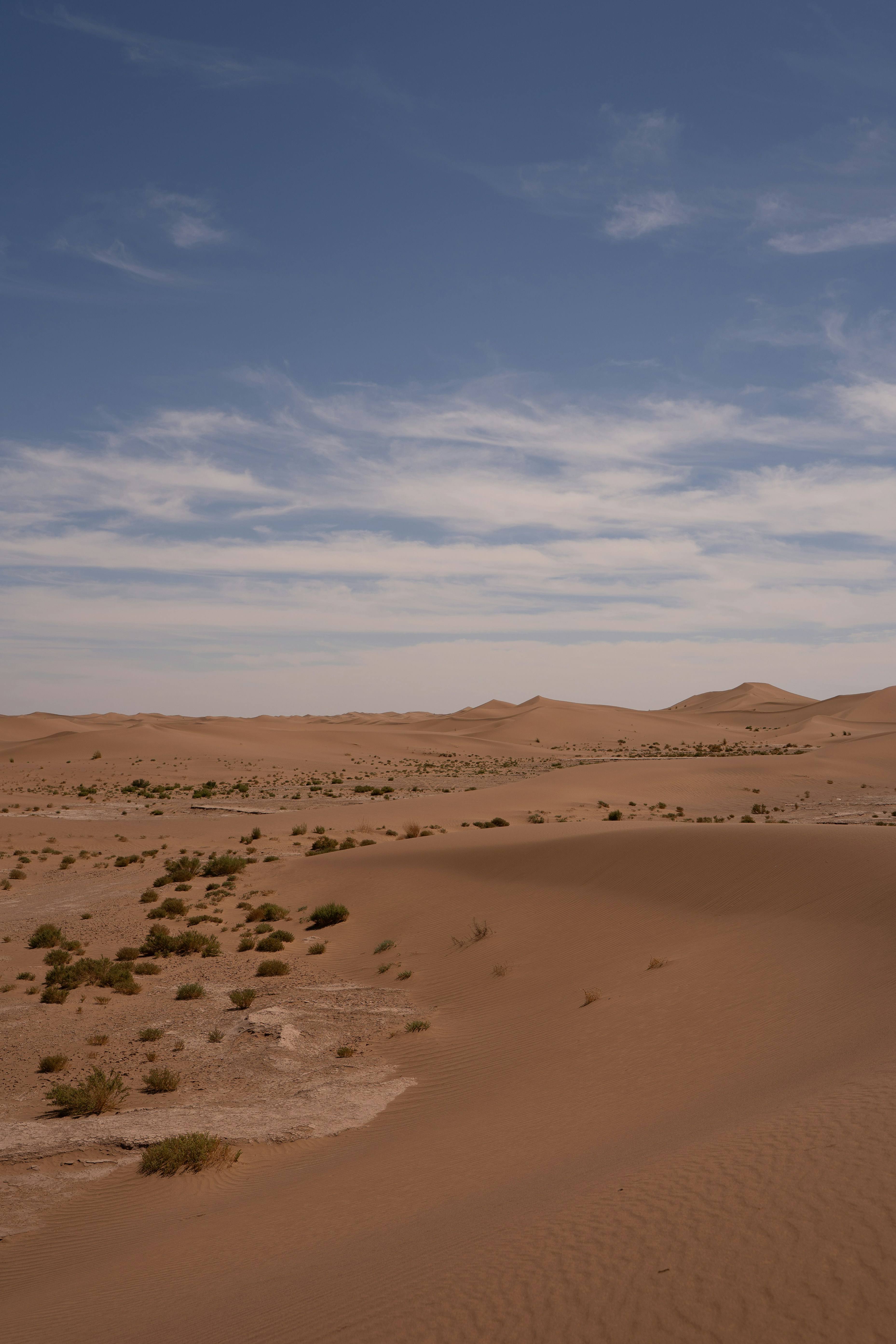 Vast desert landscape with sparse vegetation under blue sky.