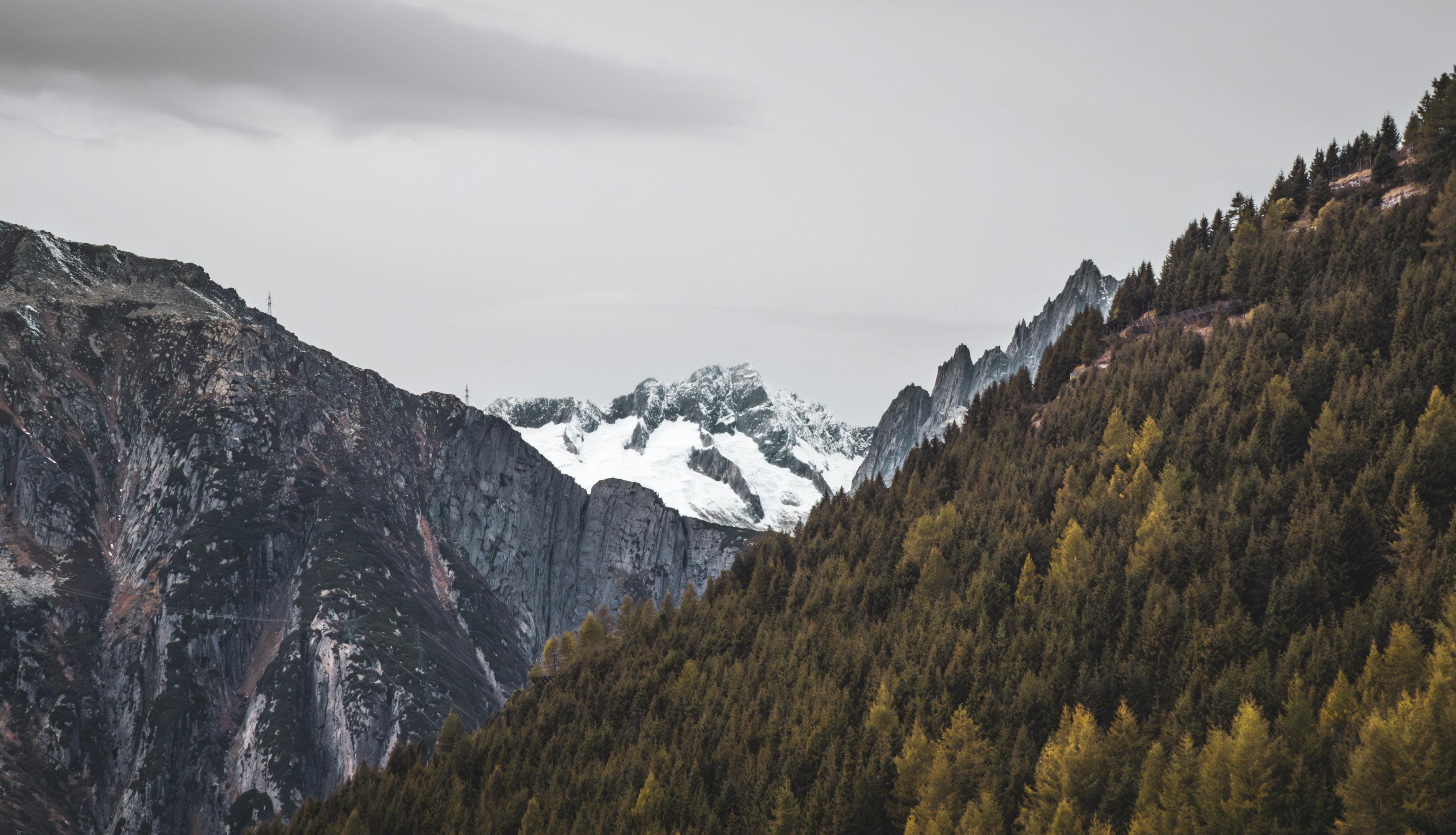 Photo by poli_graphy