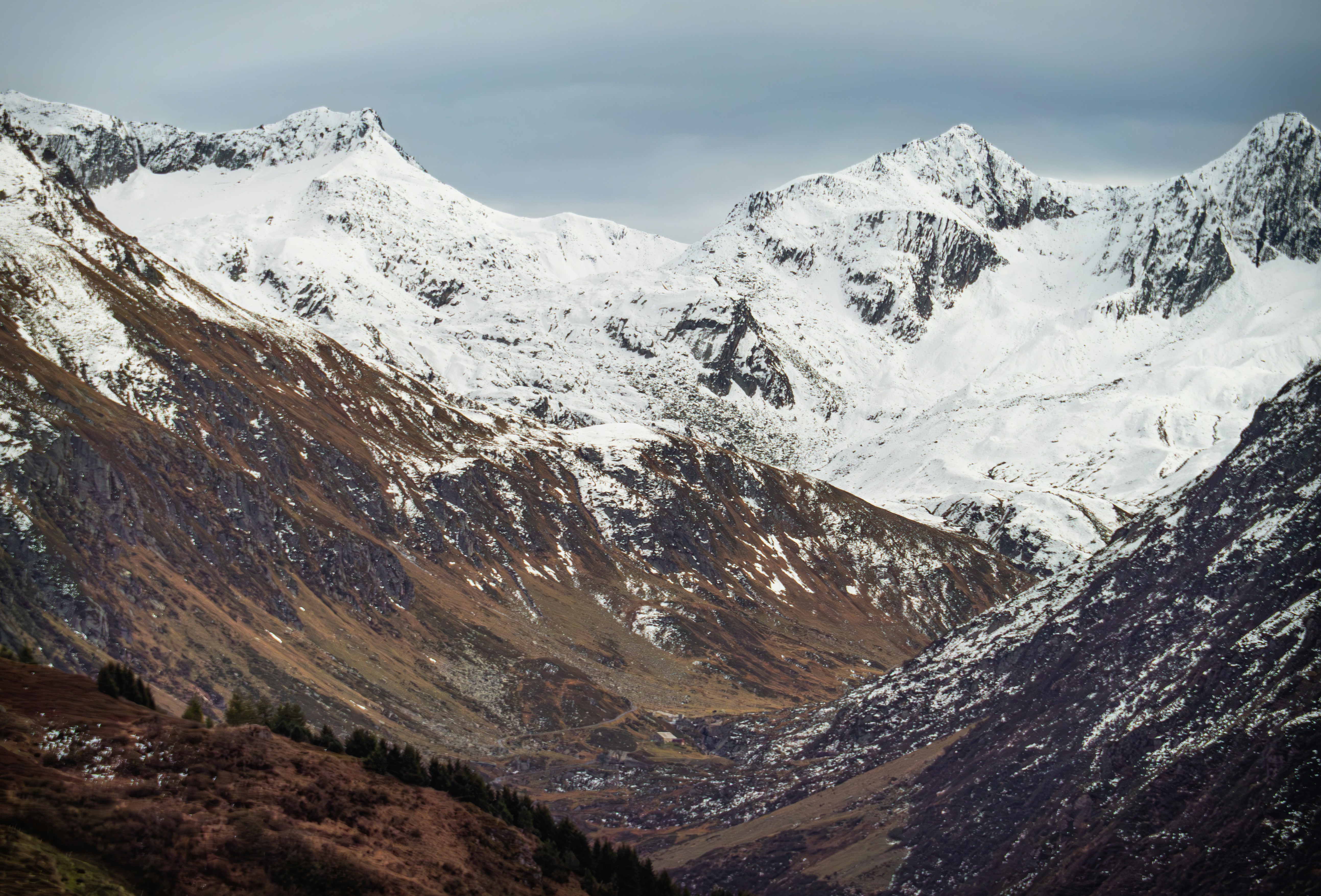 Photo by poli_graphy