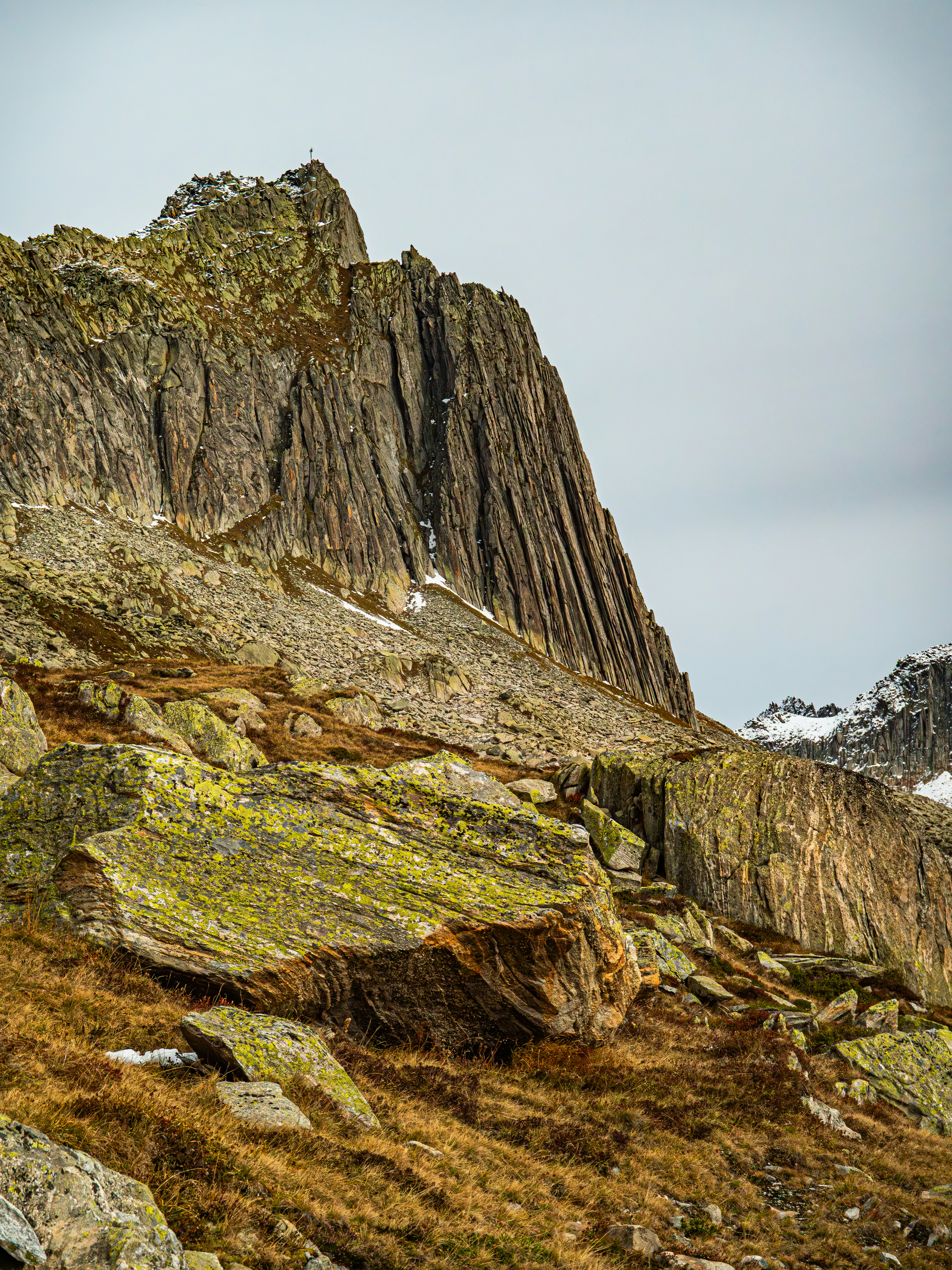 Photo by poli_graphy