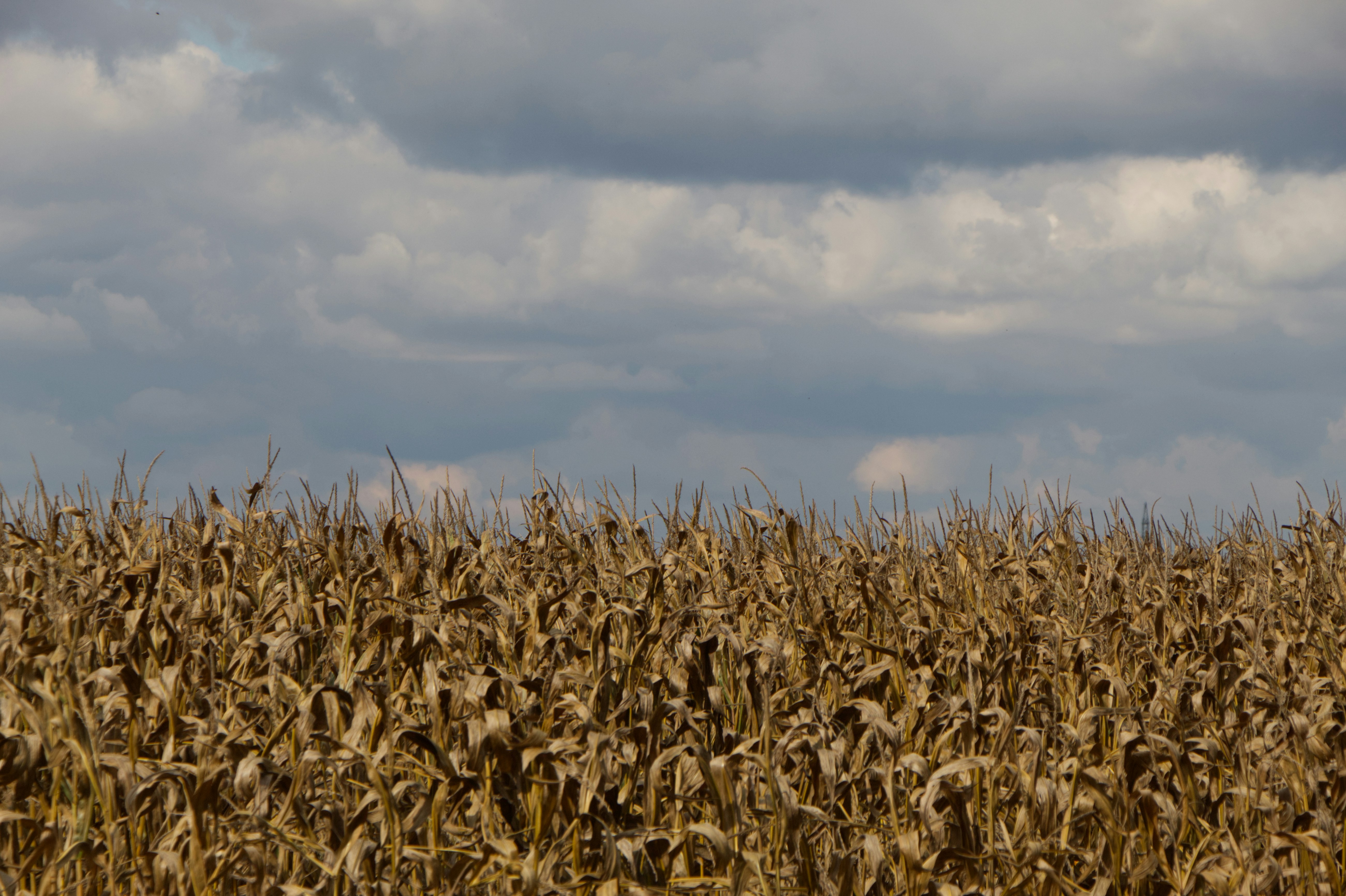 Photo by spaceboundstudio