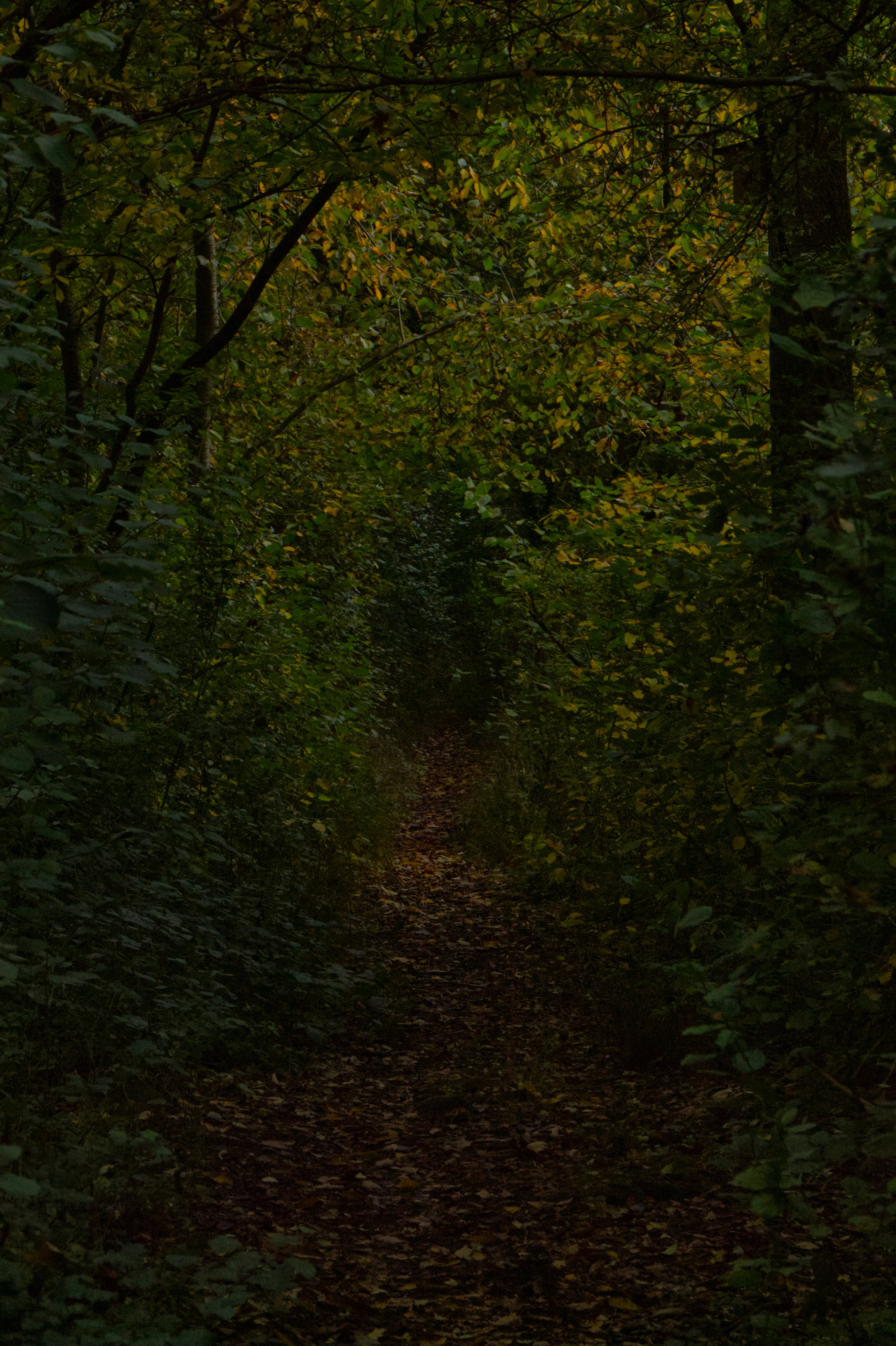 Photo by spaceboundstudio