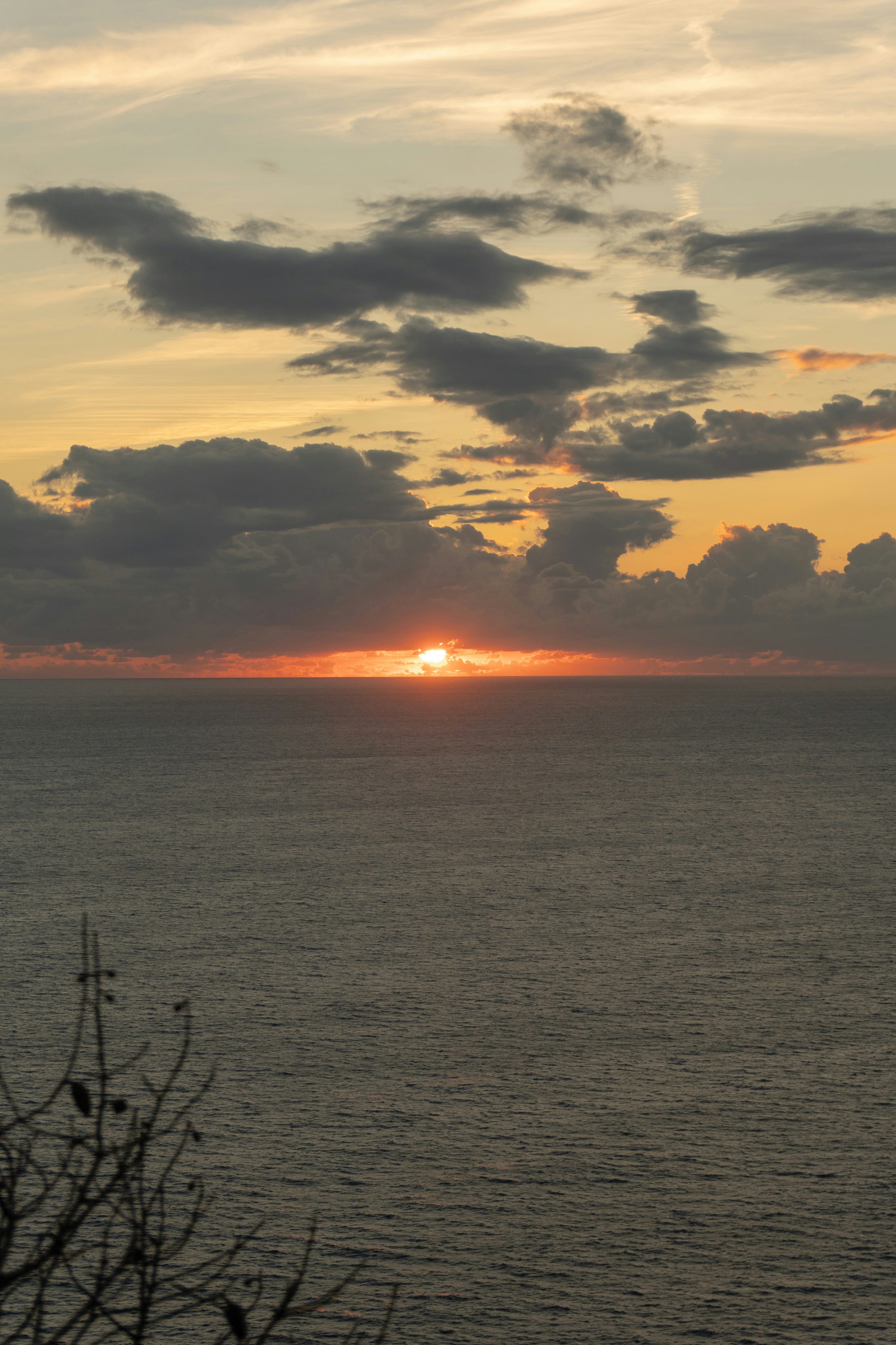 Photo by raymondpetrik