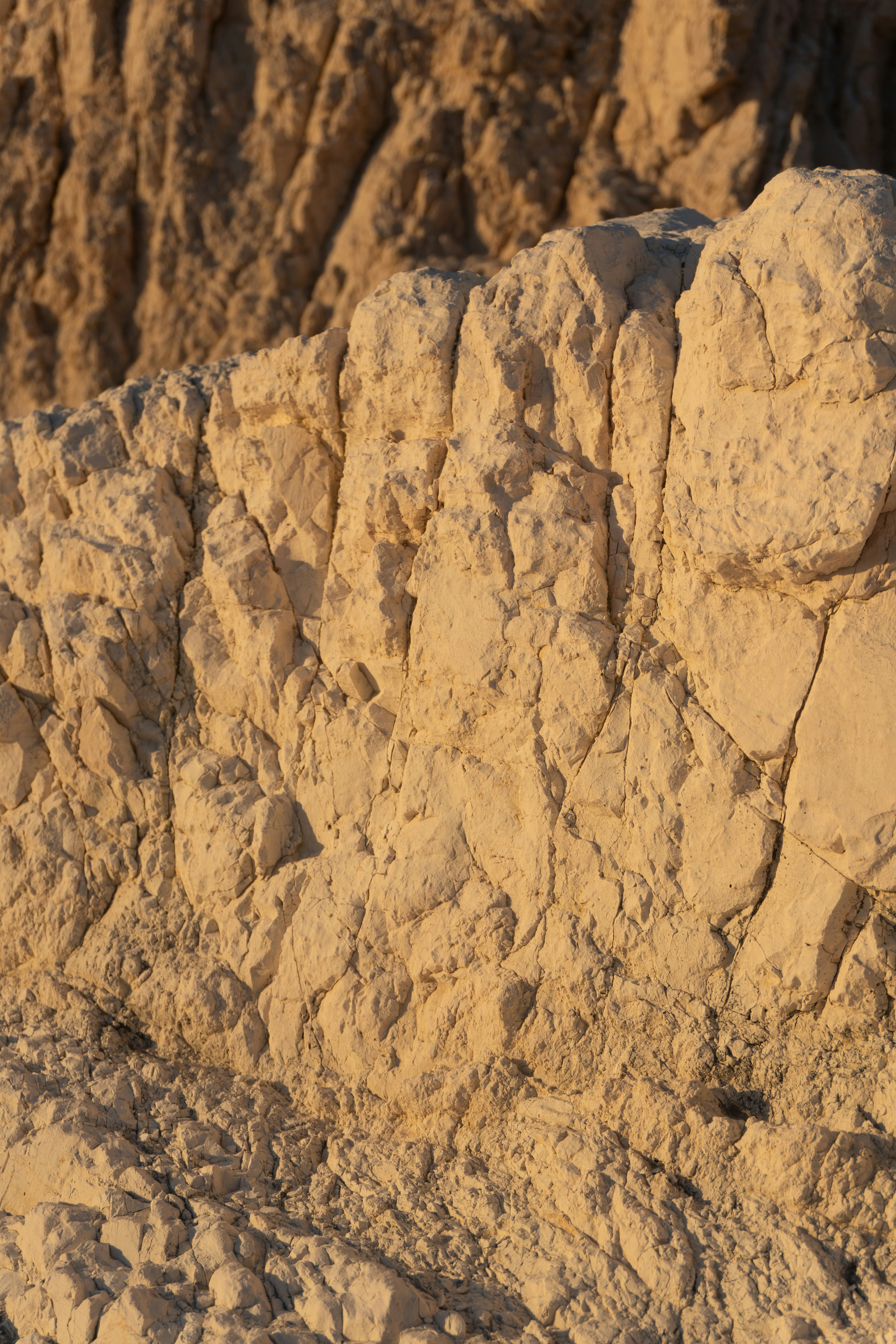 Photo by raymondpetrik