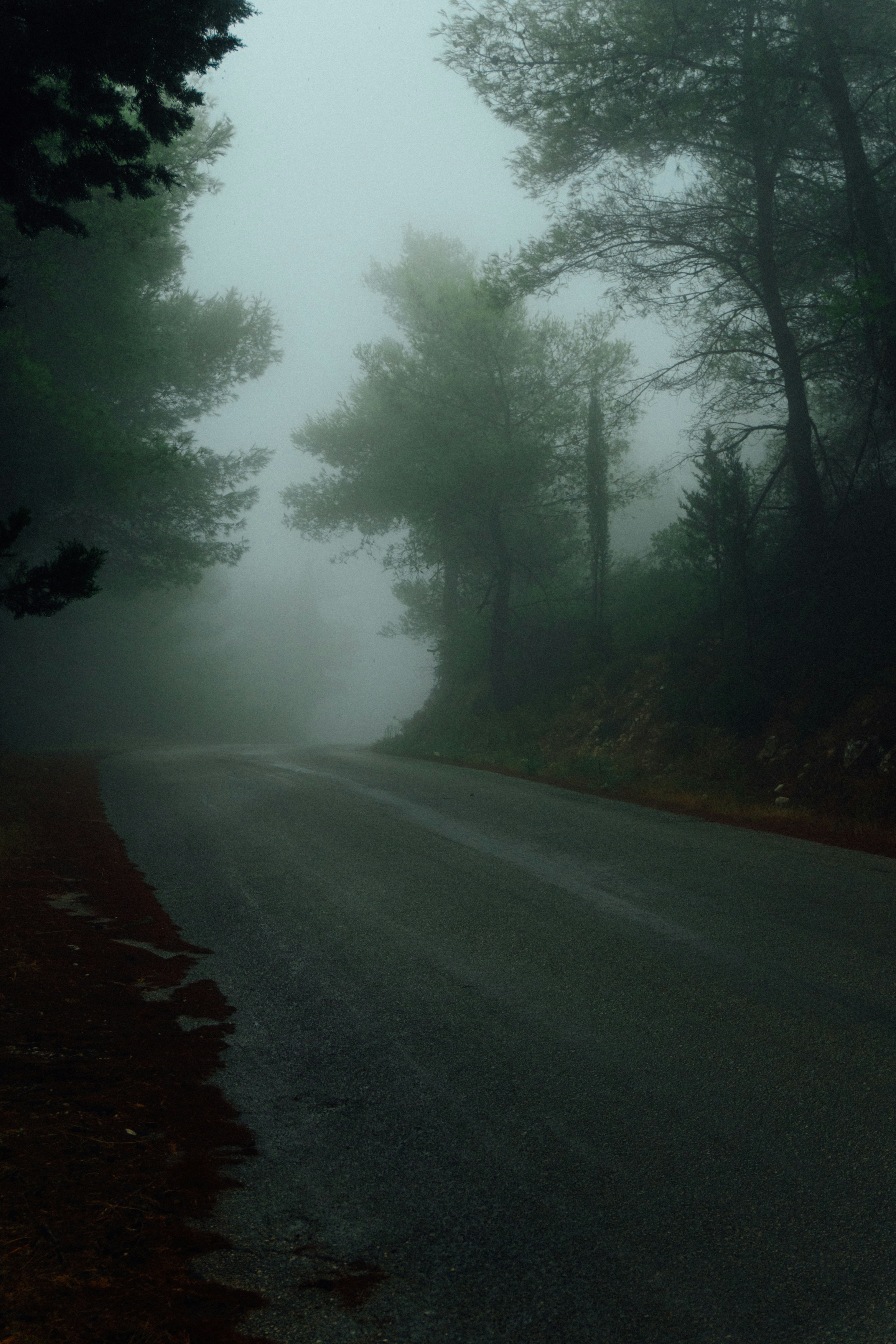 Photo by raymondpetrik