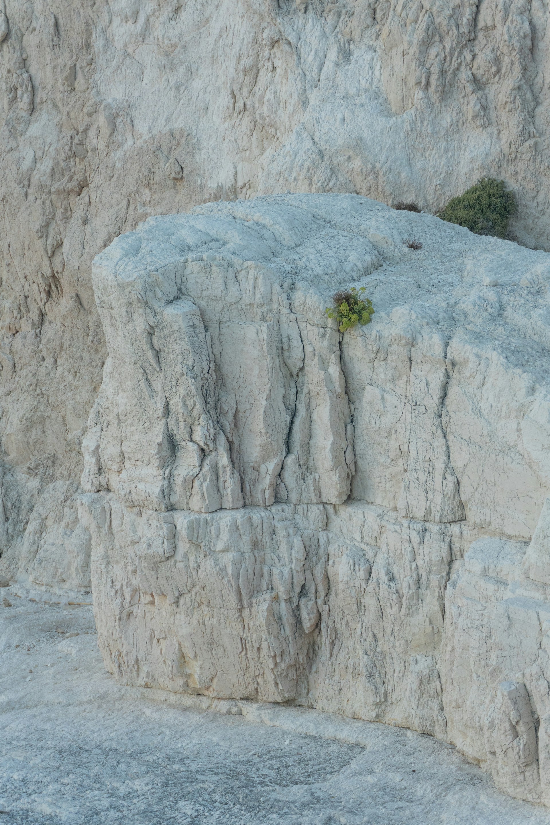Jagged rock formations with small green plants