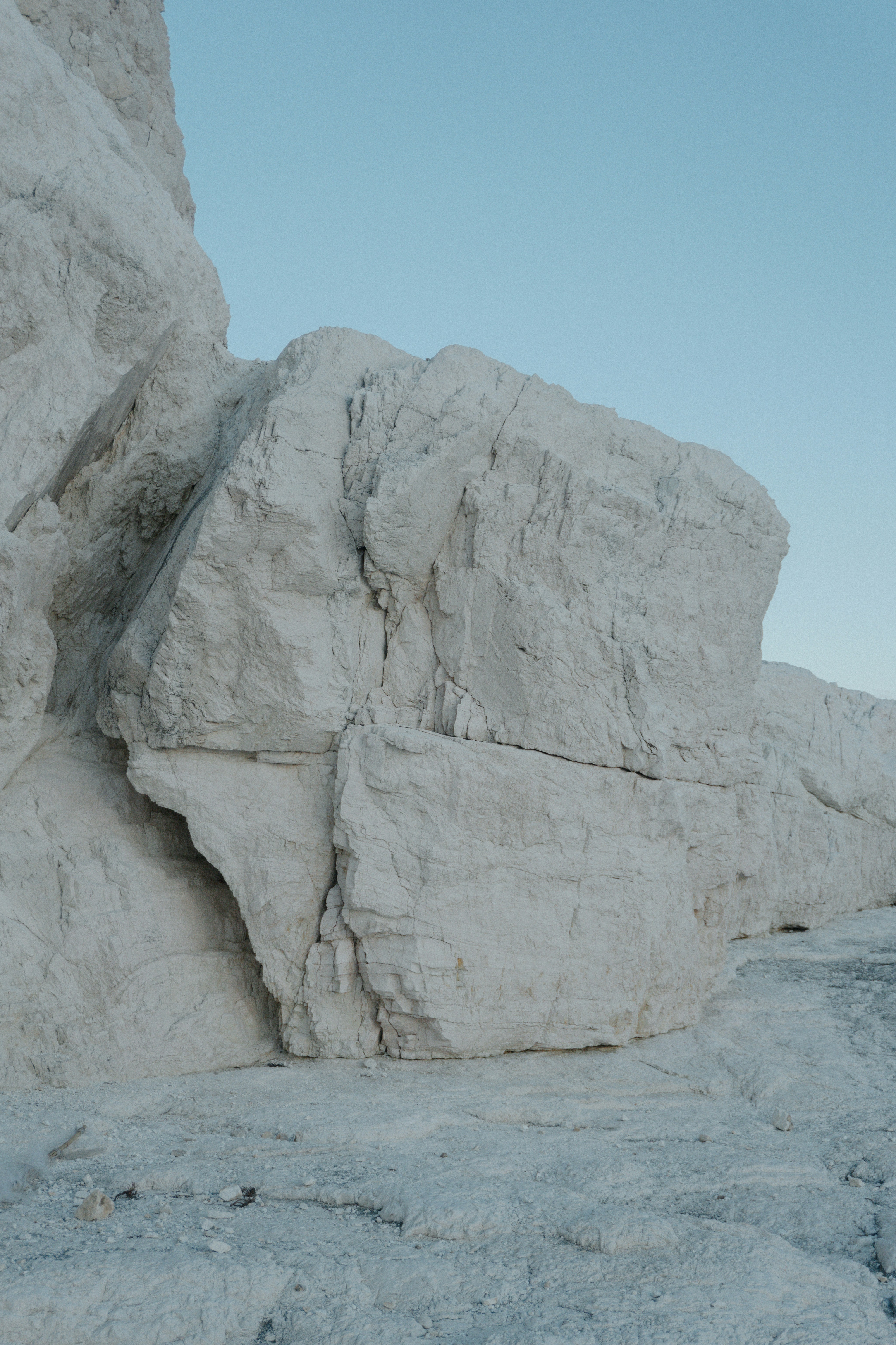 Photo by raymondpetrik