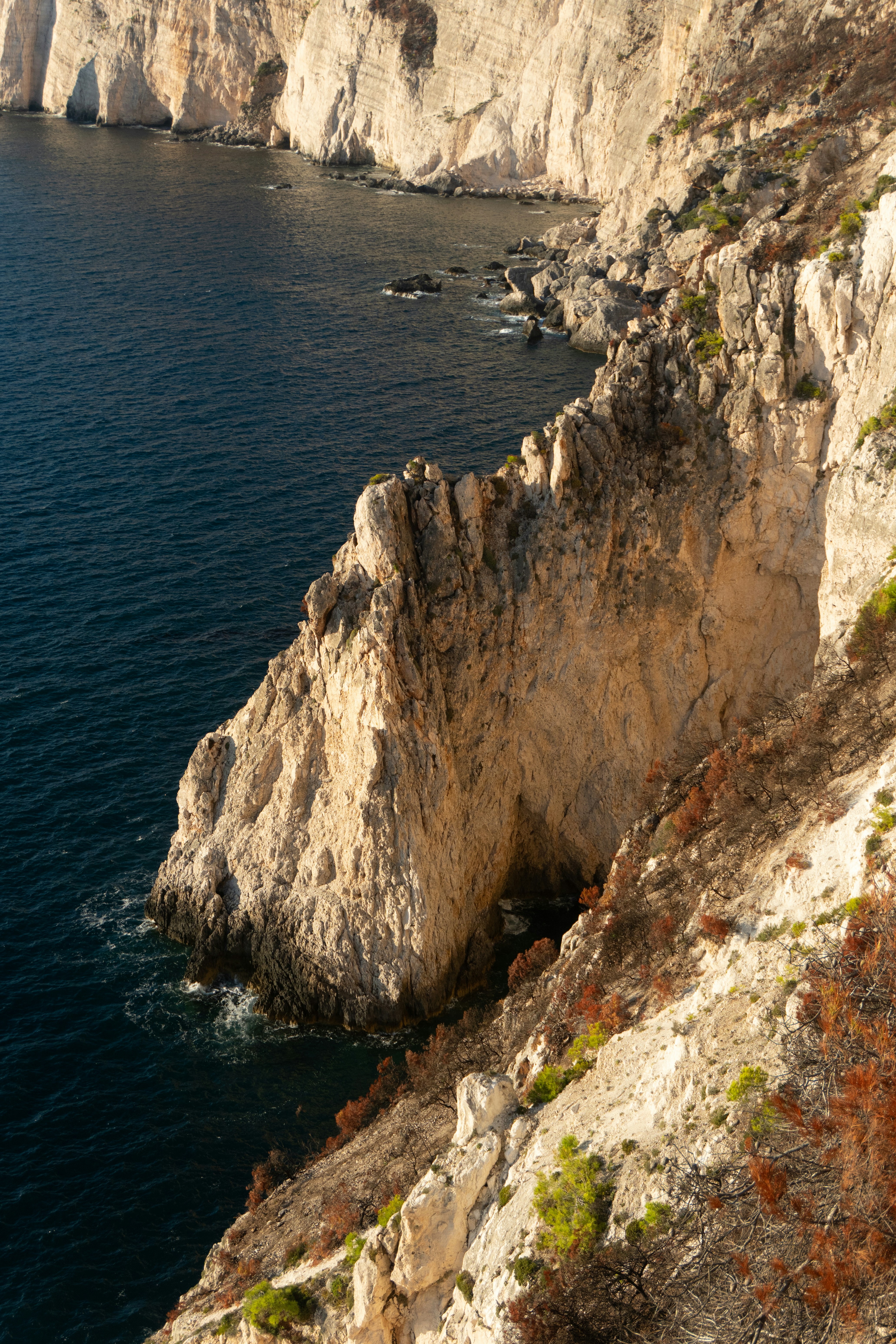 Photo by raymondpetrik