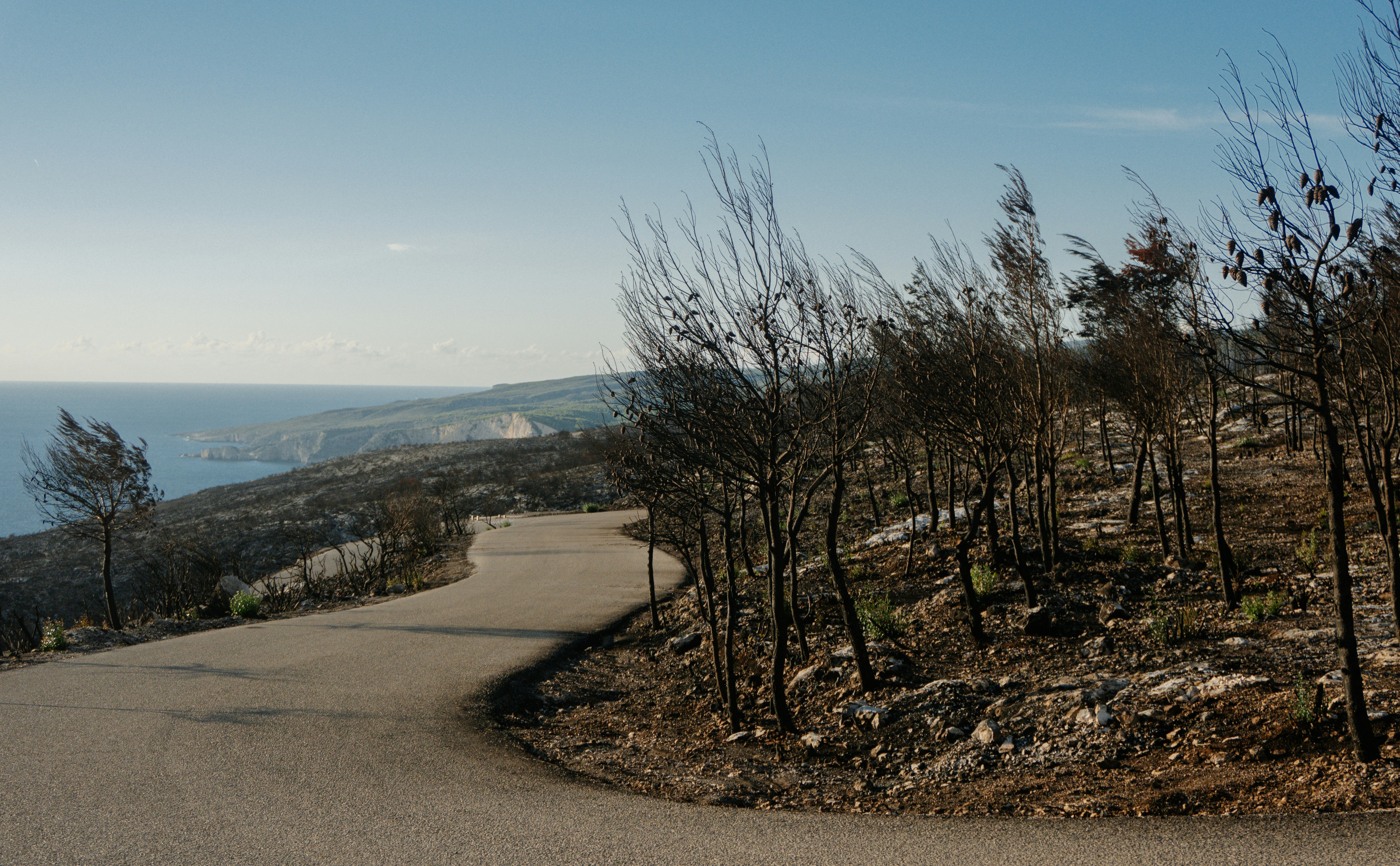 广西北部湾电动重卡充电站服务升级，绿色春节景象再现-中电数媒-数字电网新门户