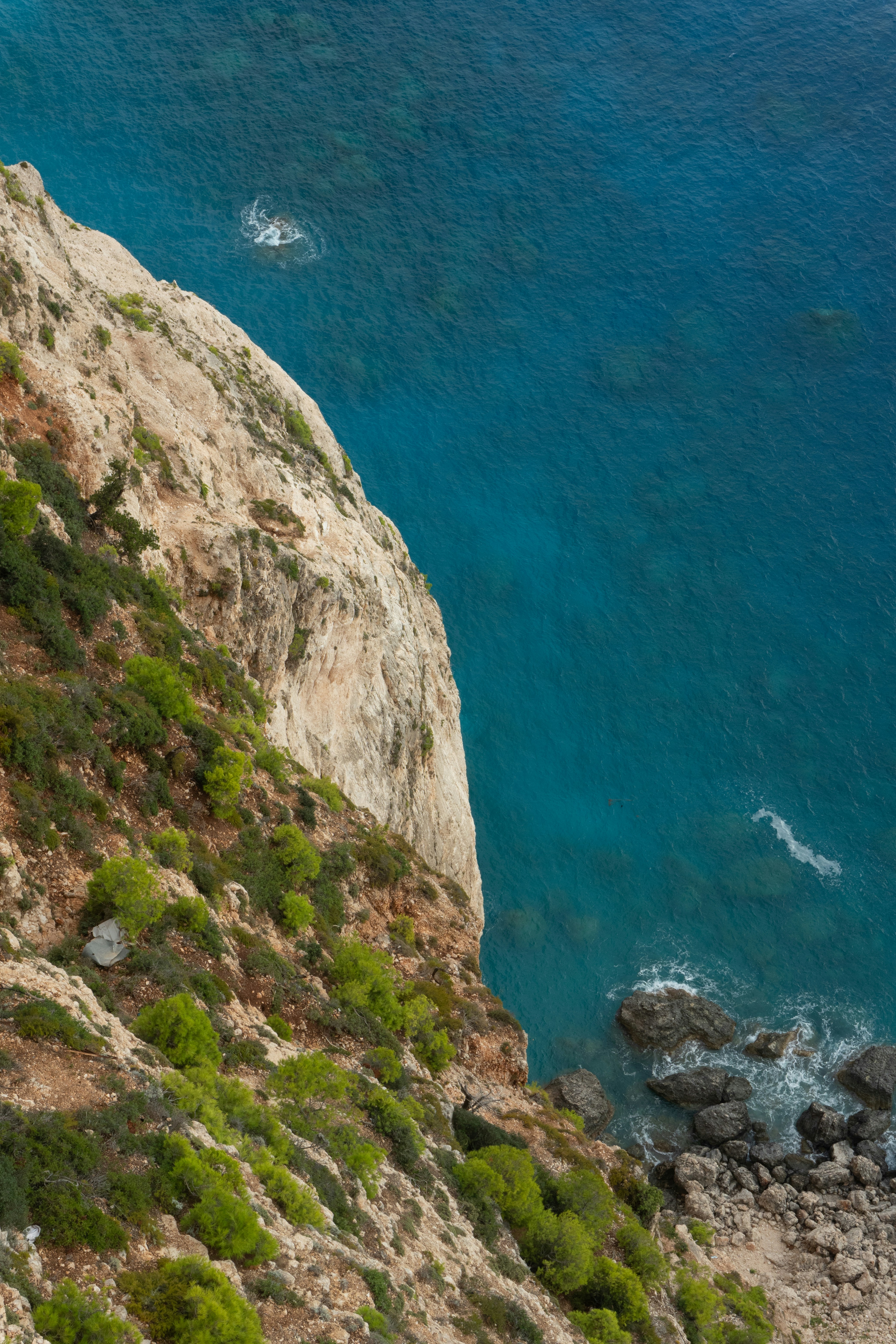 Photo by raymondpetrik