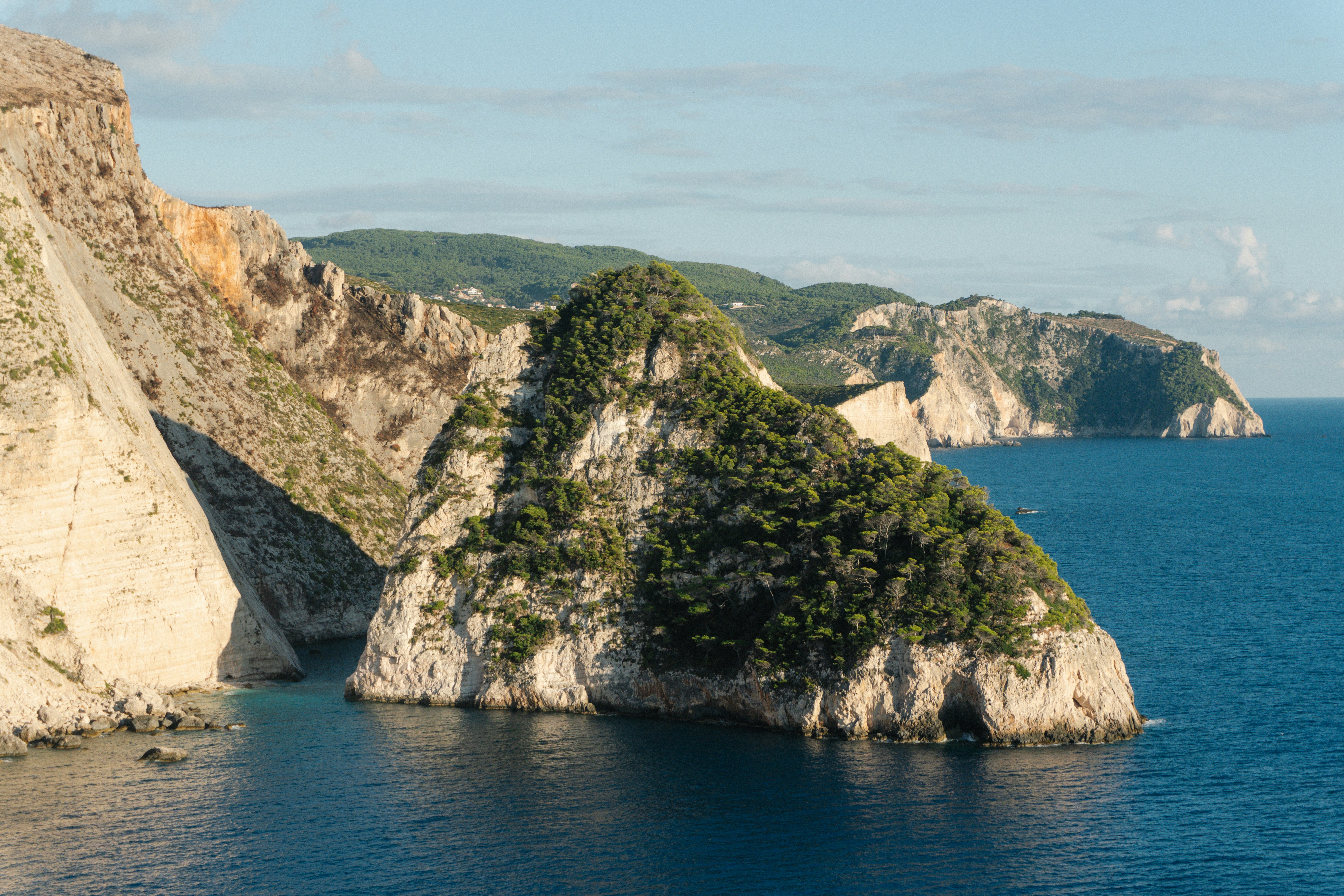 Photo by raymondpetrik