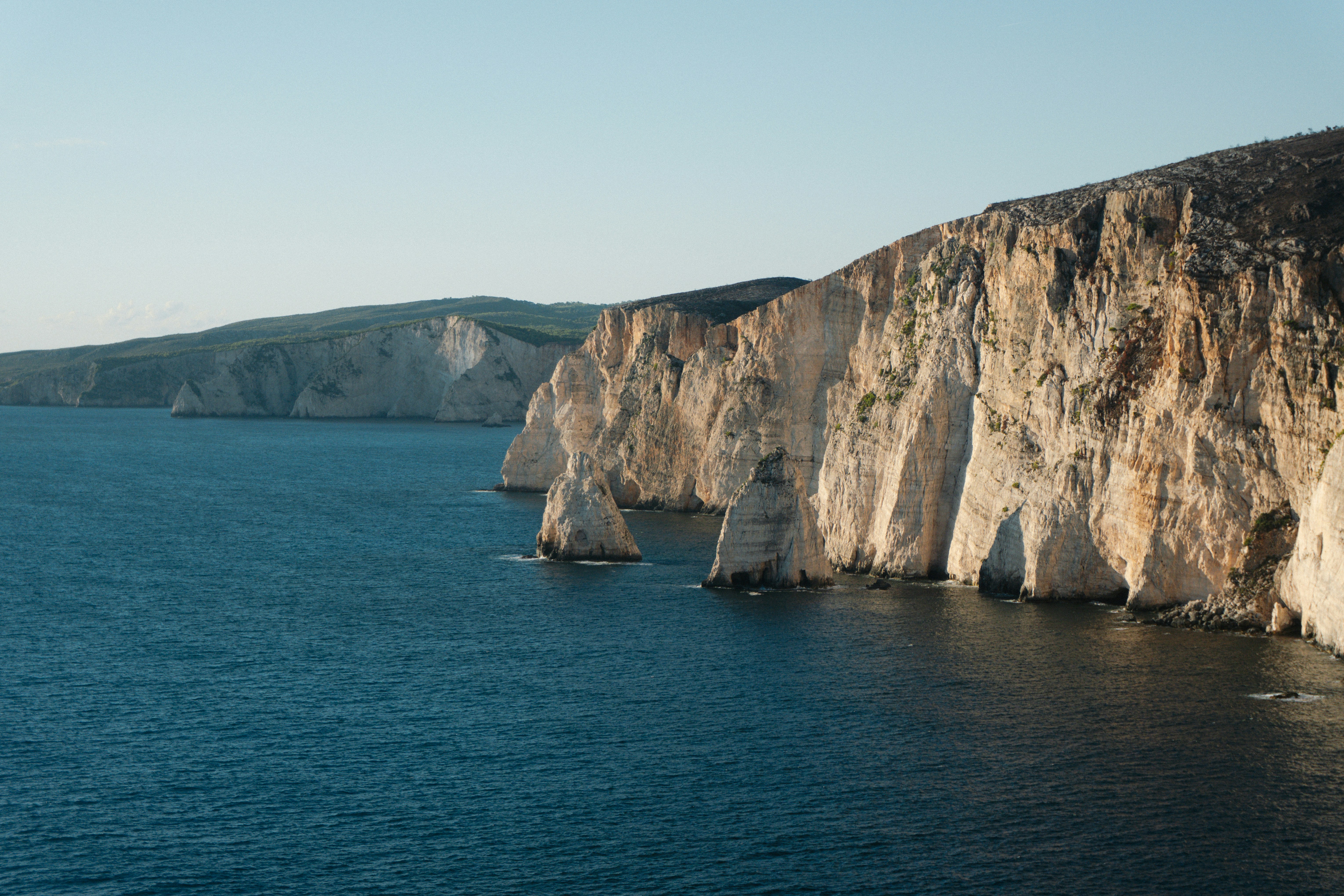 Photo by raymondpetrik