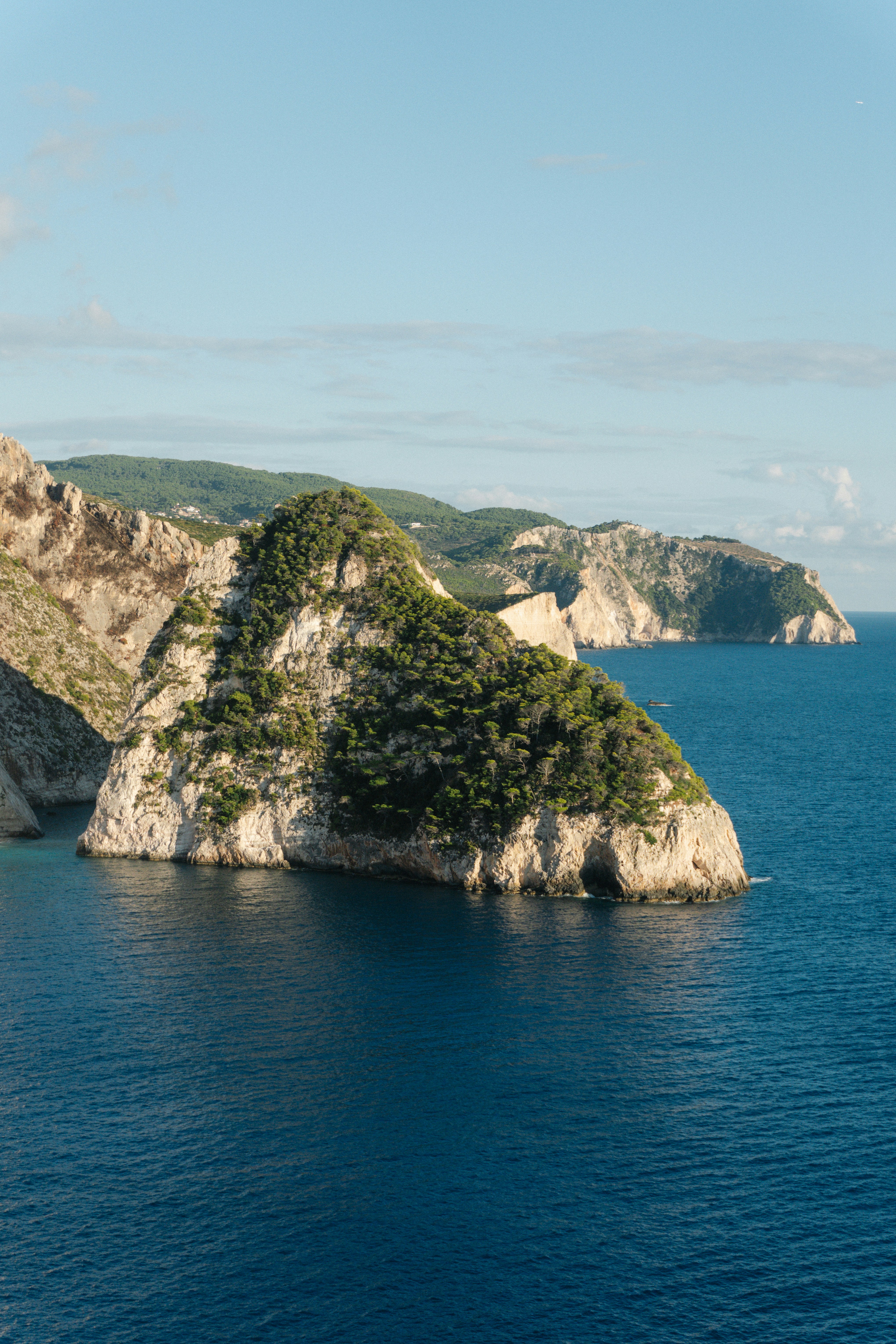 Photo by raymondpetrik