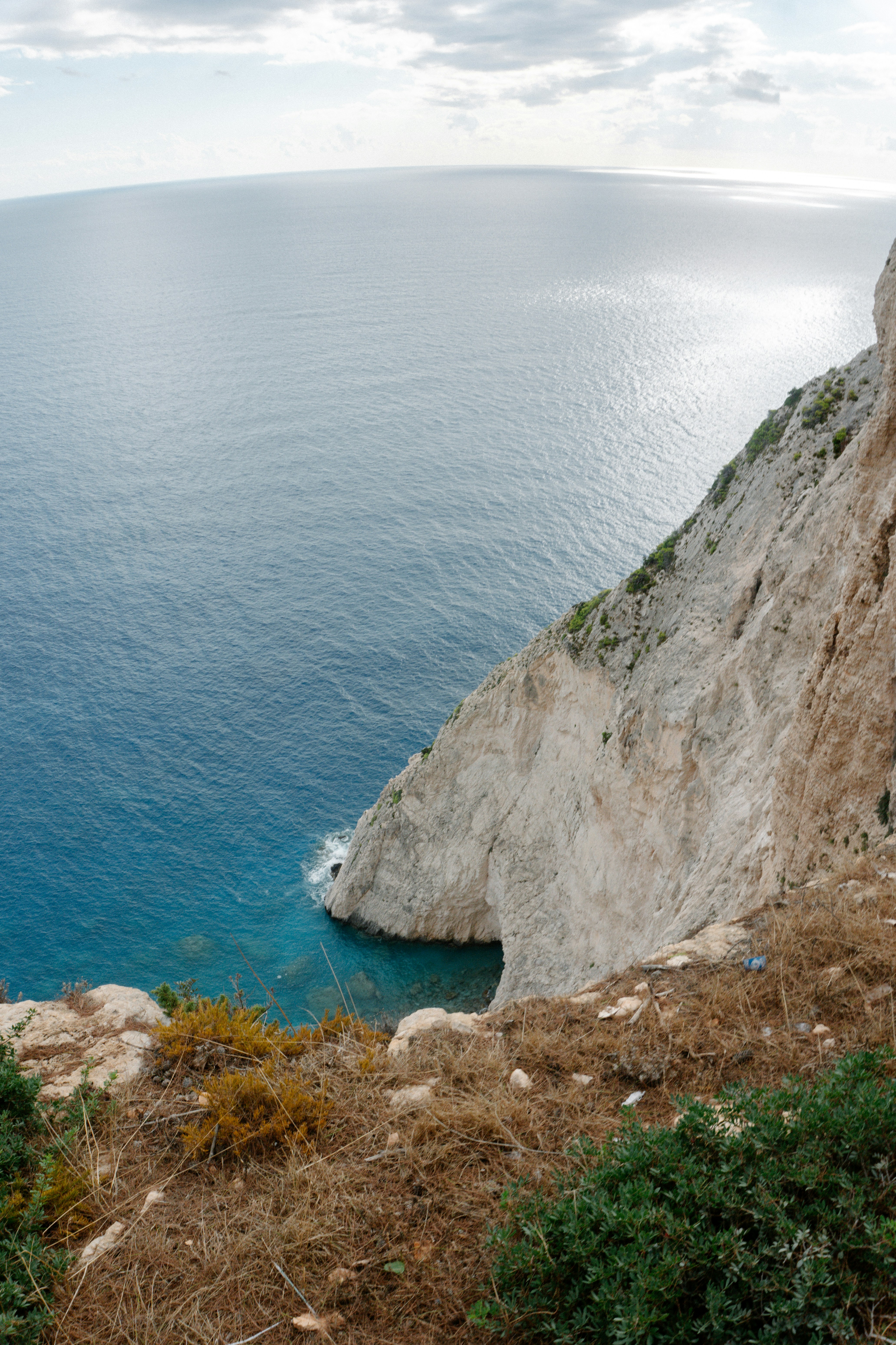 Photo by raymondpetrik