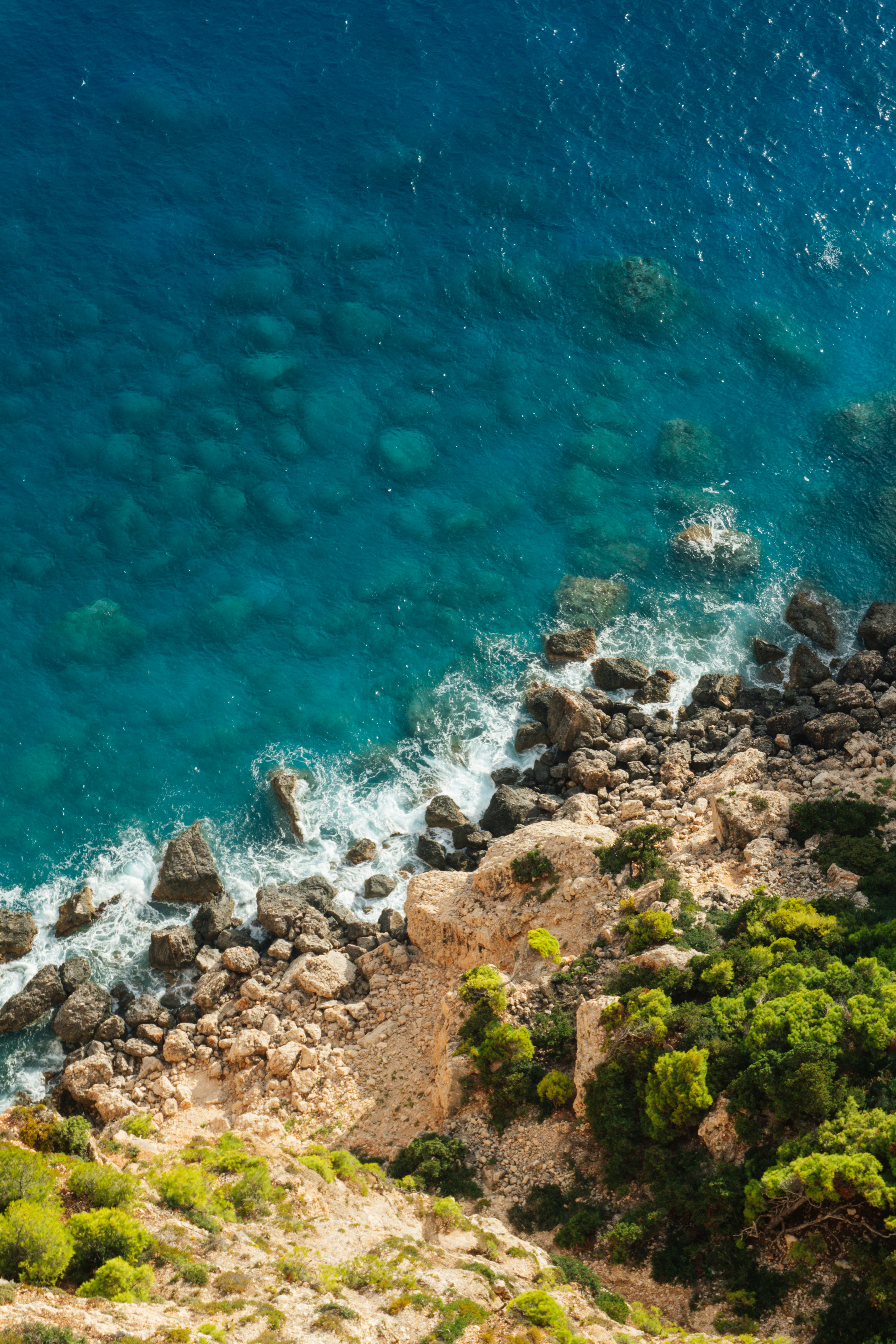 Photo by raymondpetrik