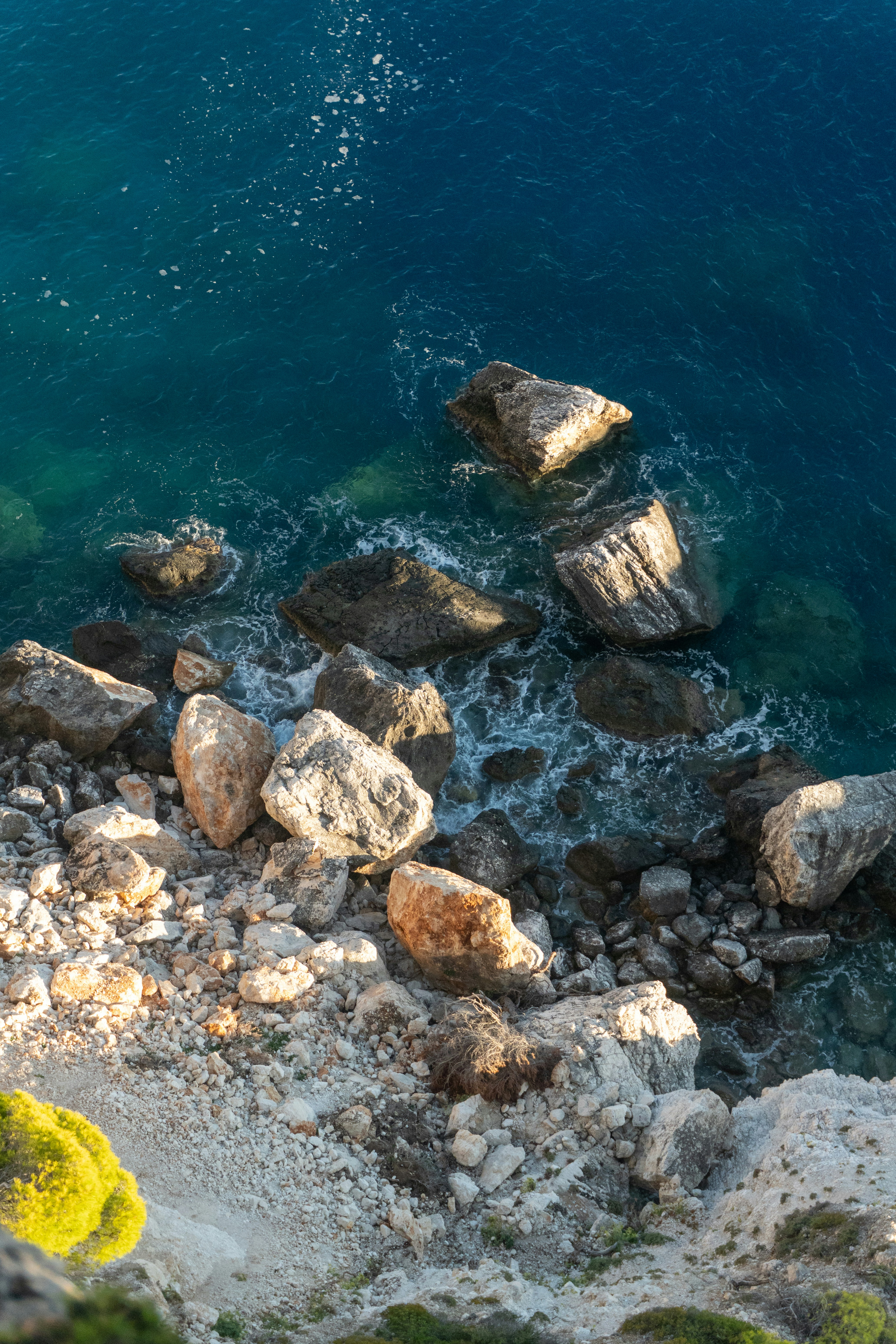 Photo by raymondpetrik