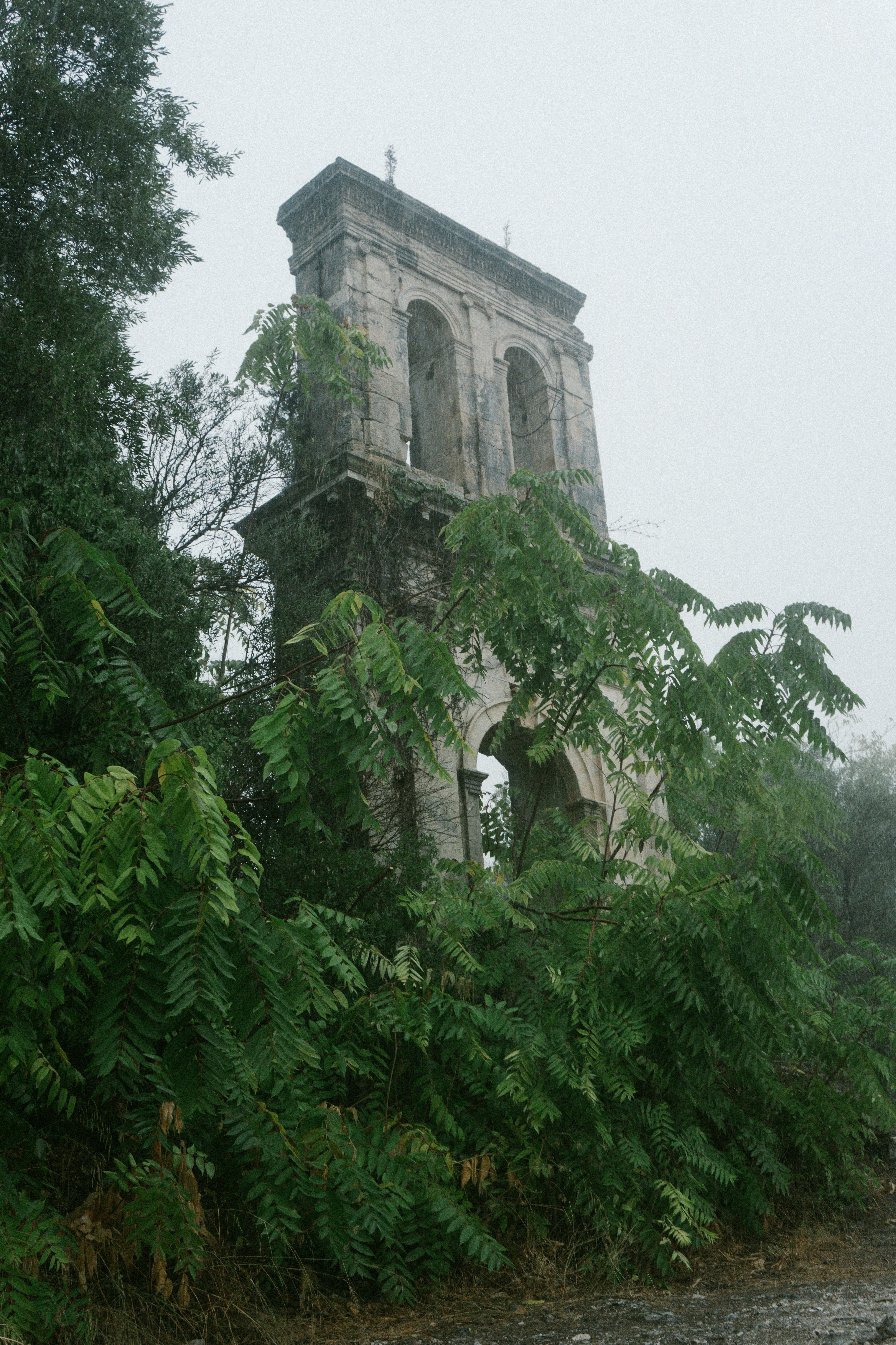 Photo by raymondpetrik